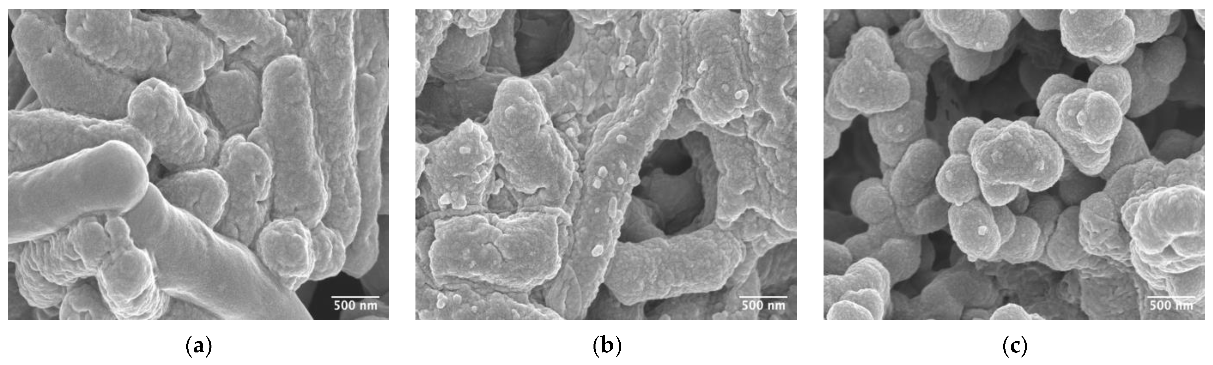 Microorganisms 11 01651 g005 Microorganisms 11 01651 g005