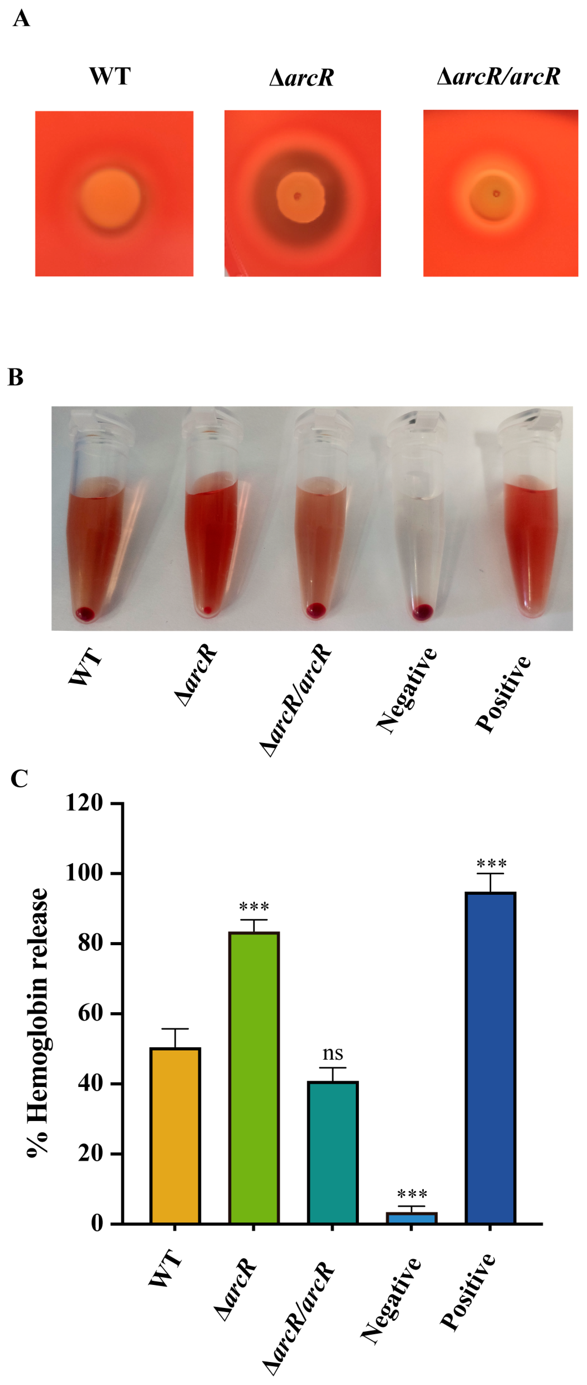 Microorganisms 11 01656 g001 Microorganisms 11 01656 g001