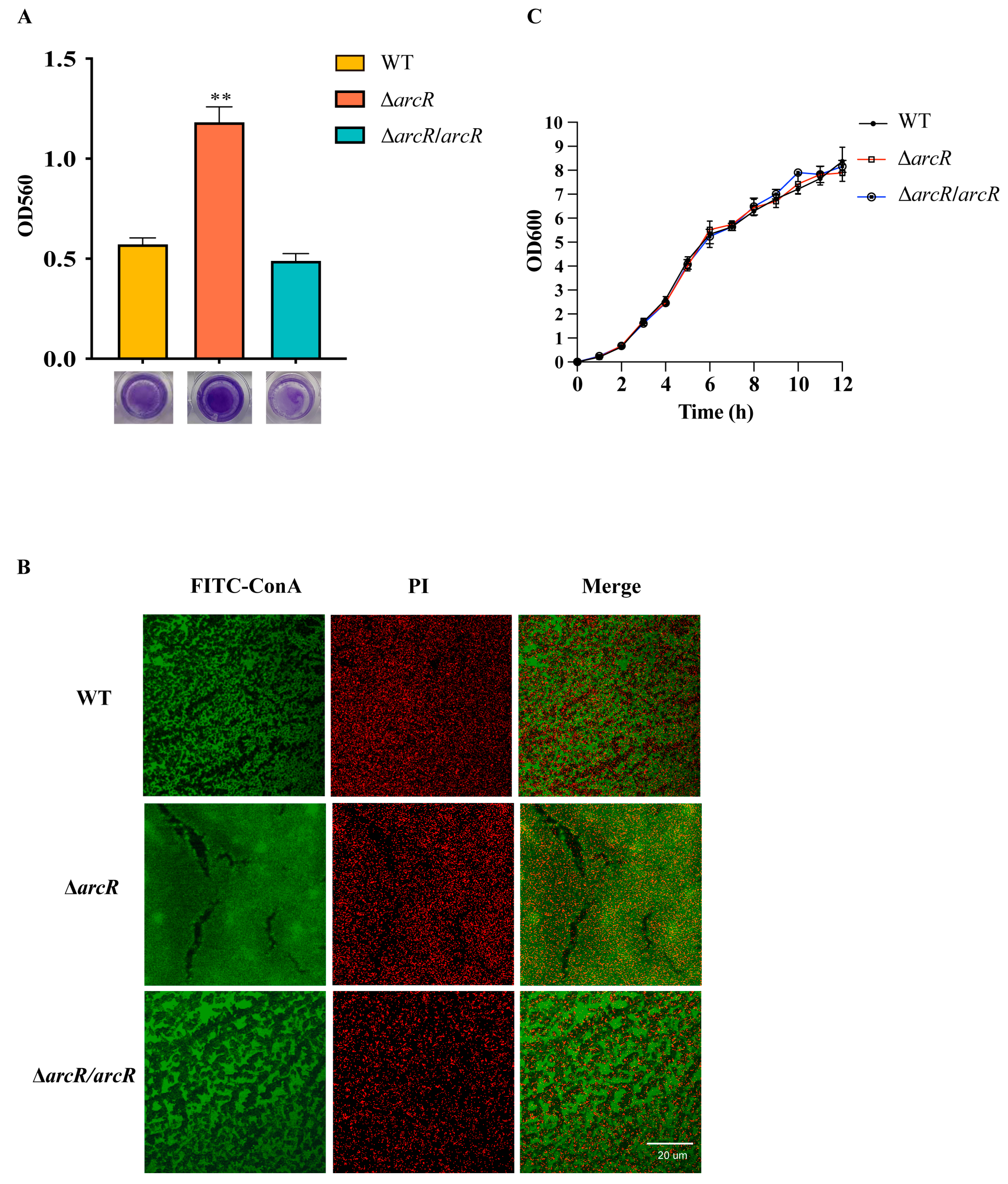 Microorganisms 11 01656 g002 Microorganisms 11 01656 g002