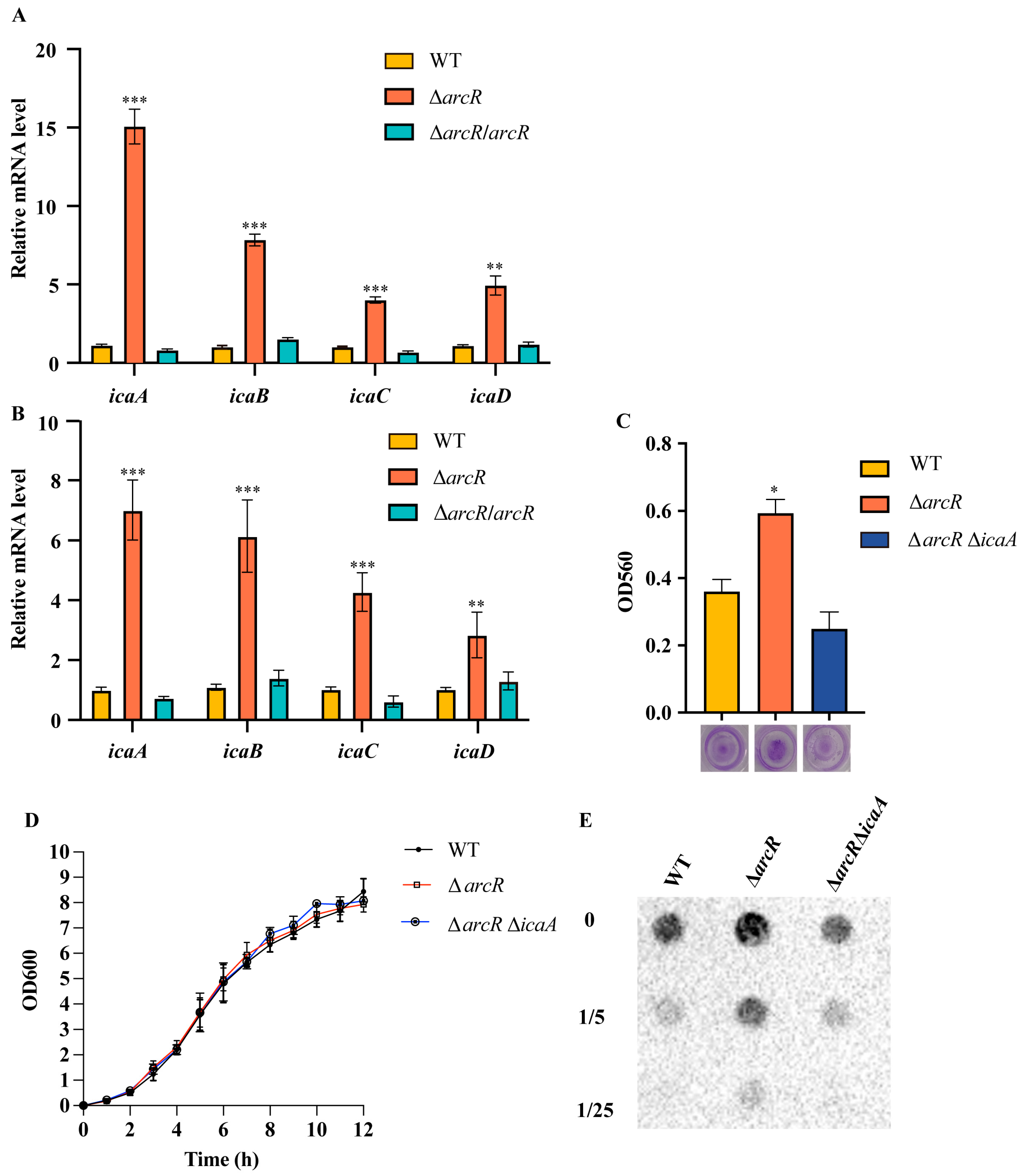 Microorganisms 11 01656 g005 Microorganisms 11 01656 g005