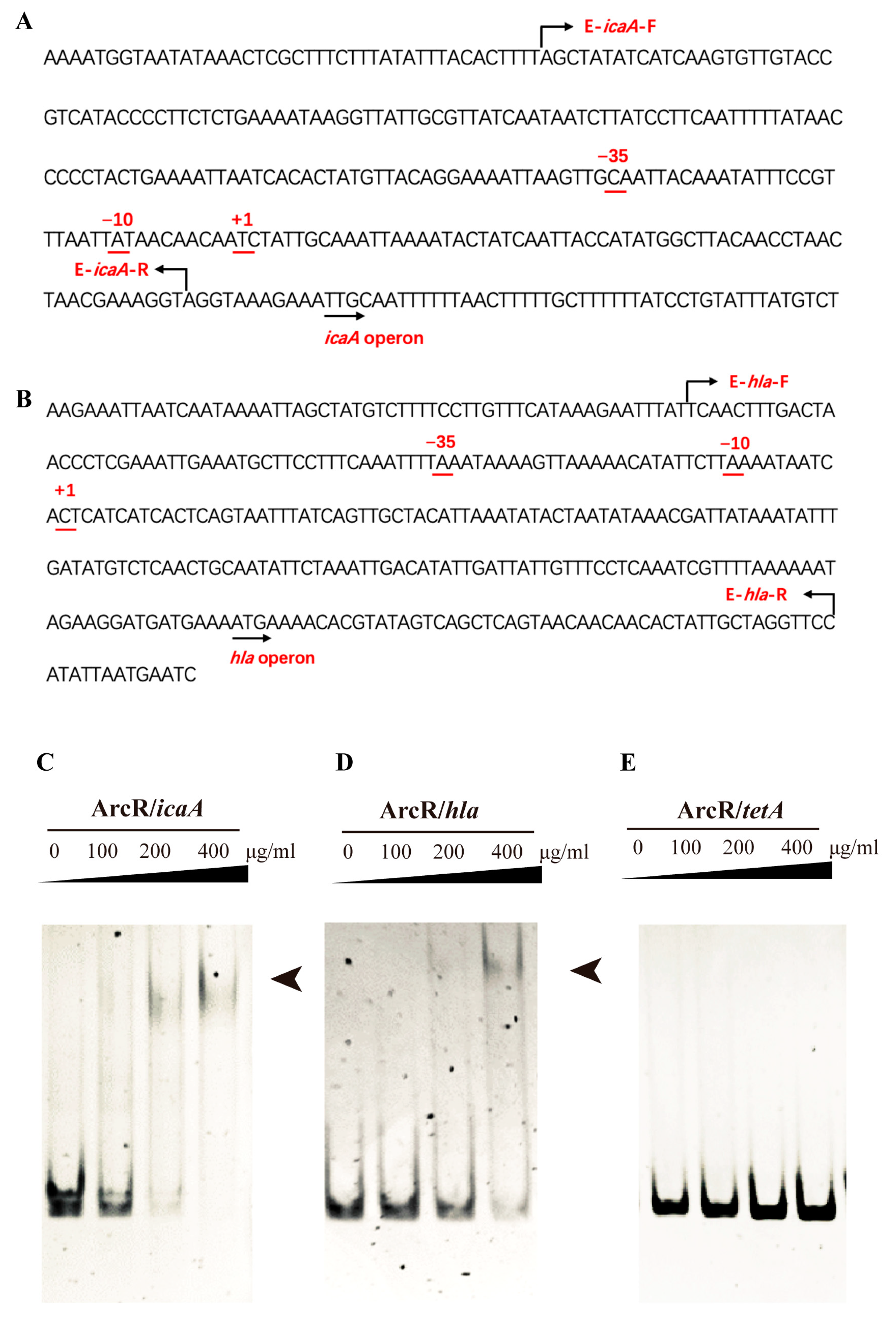 Microorganisms 11 01656 g006 Microorganisms 11 01656 g006