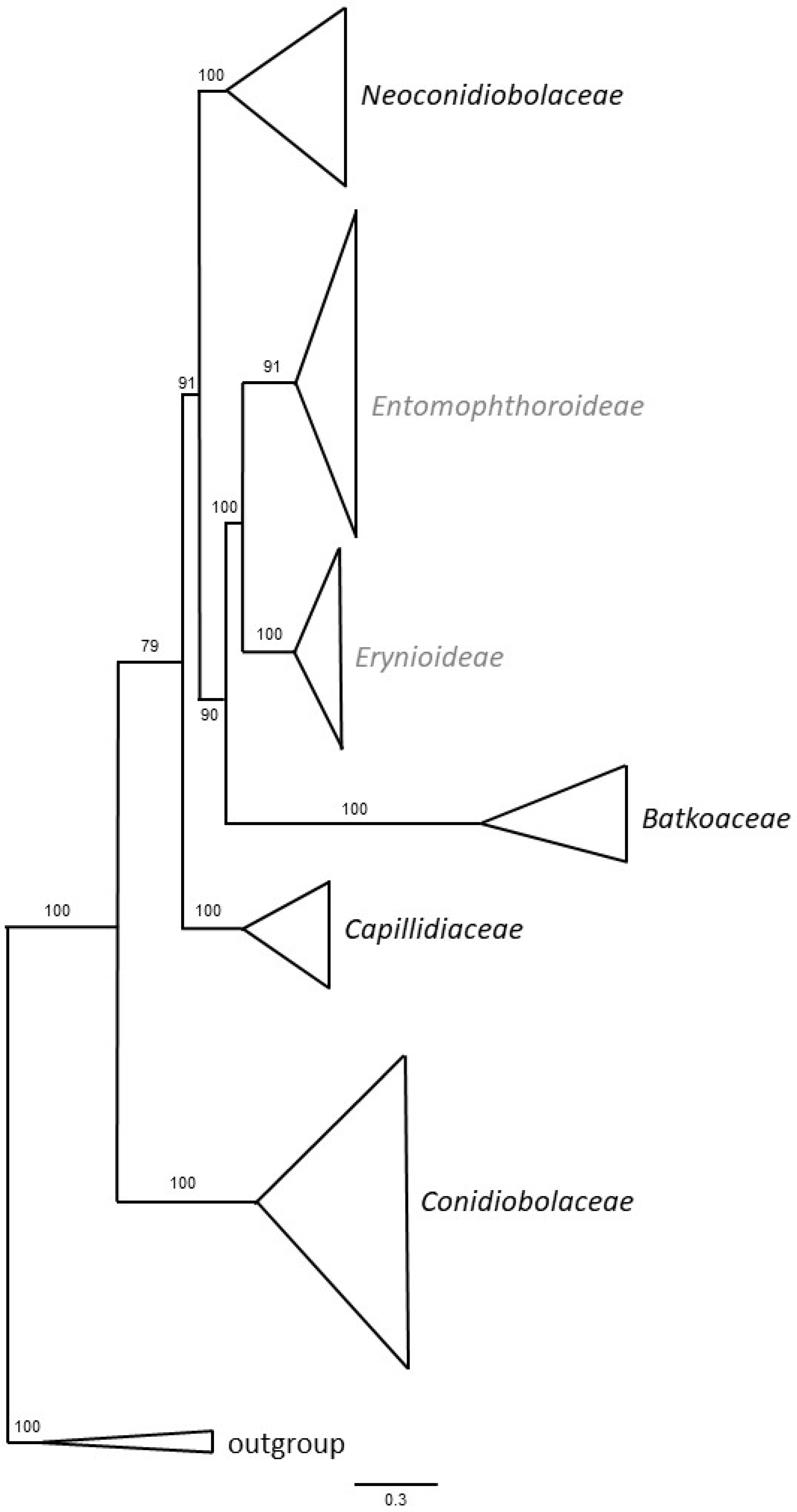 Microorganisms 11 01658 g001 Microorganisms 11 01658 g001