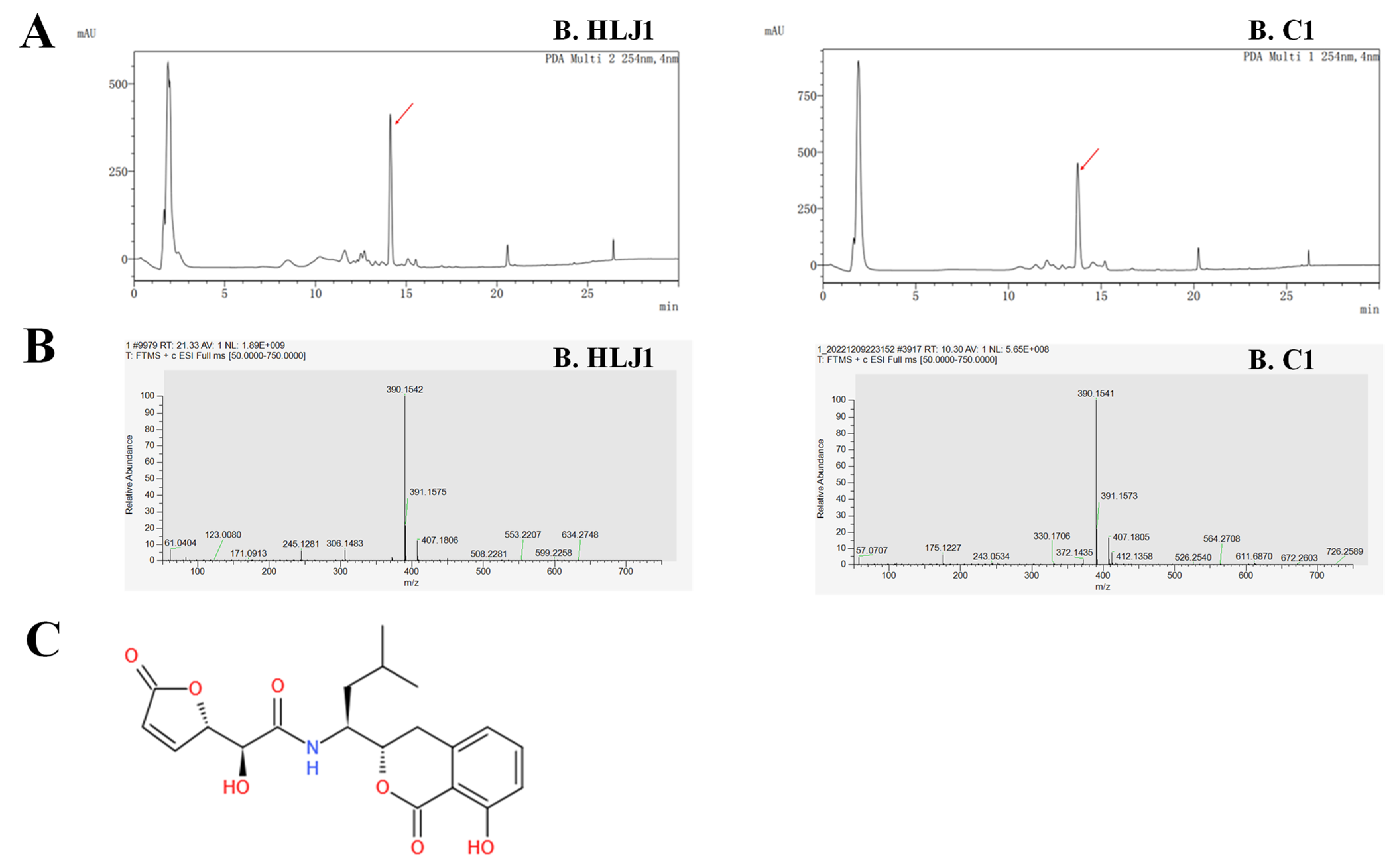 Microorganisms 11 01667 g005