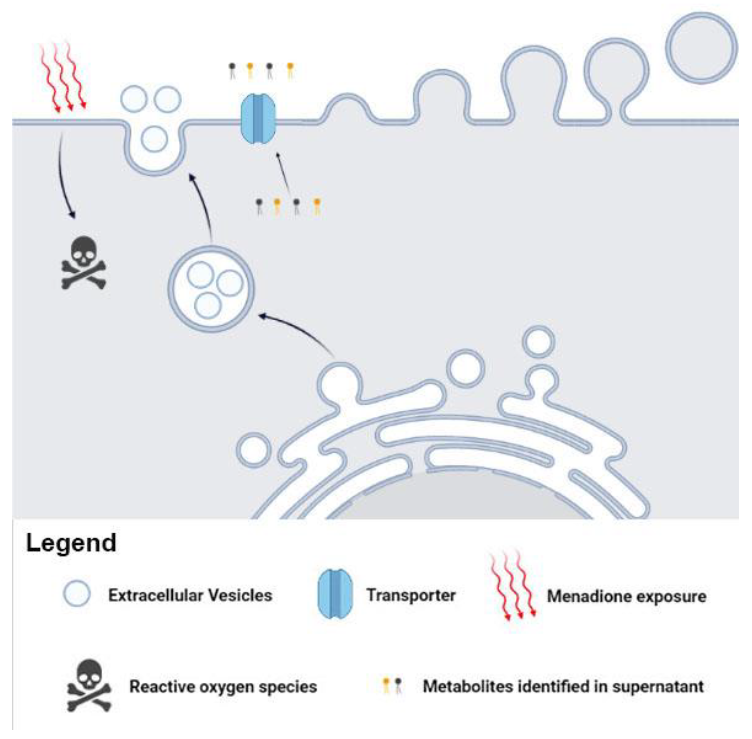 Microorganisms 11 01669 g004 Microorganisms 11 01669 g004