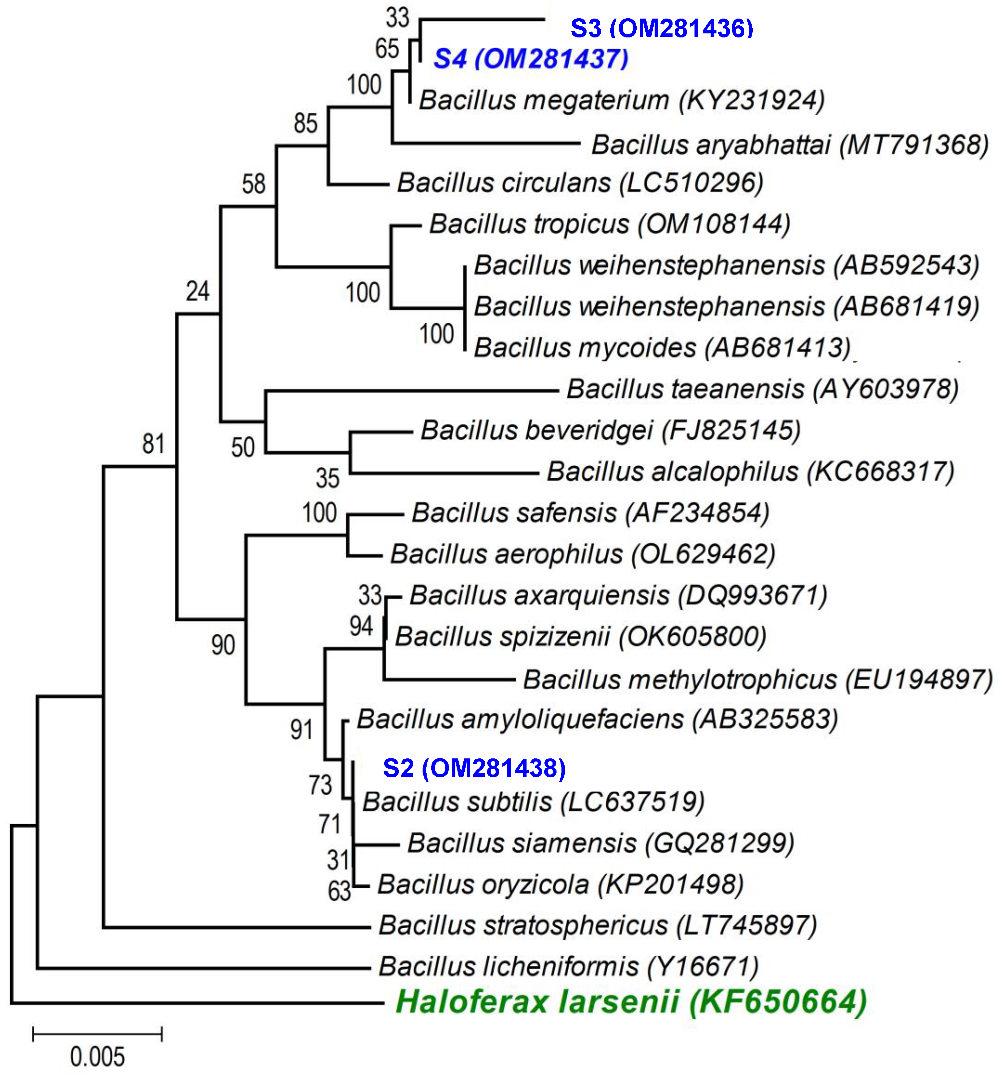 Microorganisms 11 01687 g003