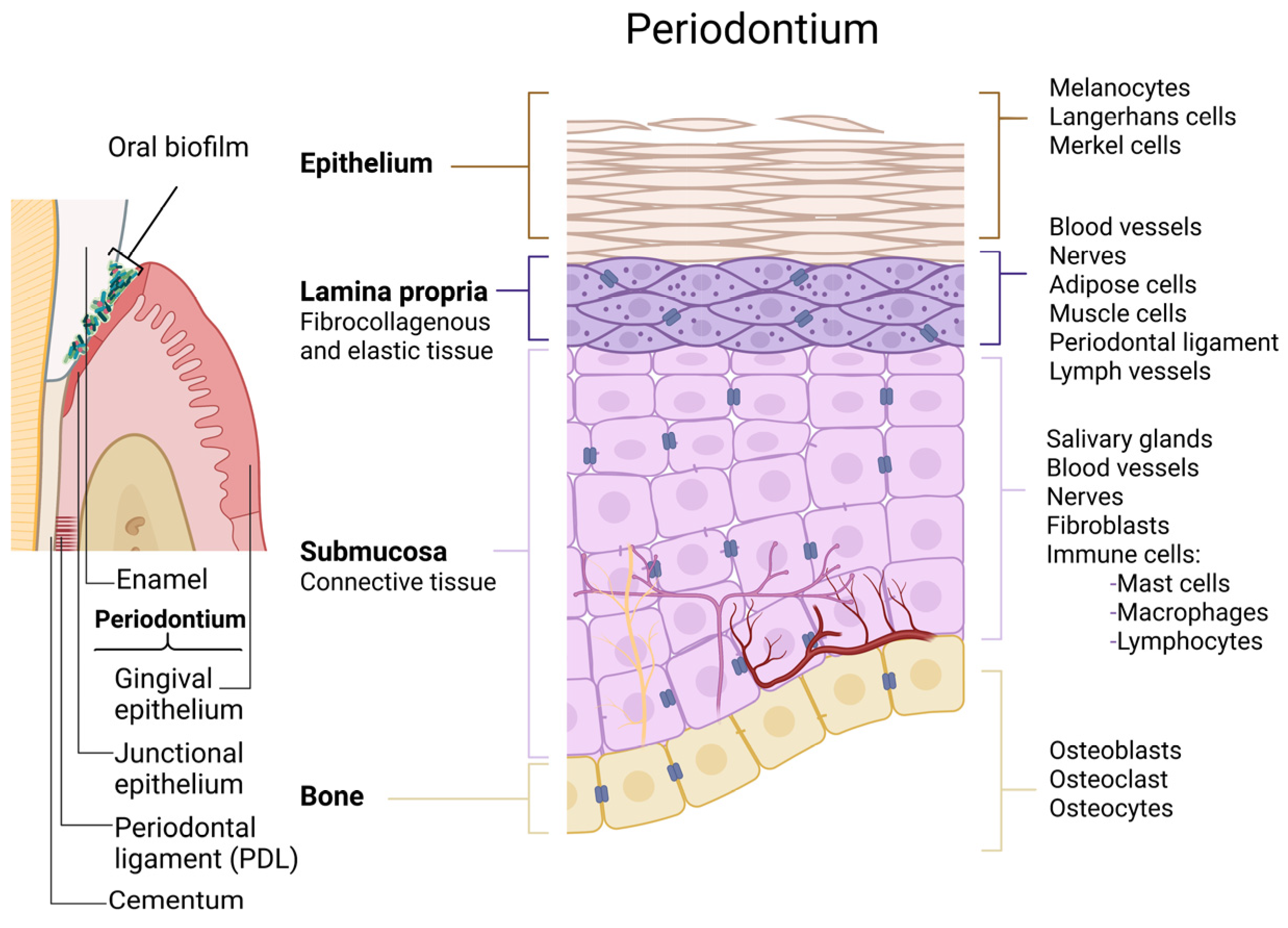 Microorganisms 11 01688 g001