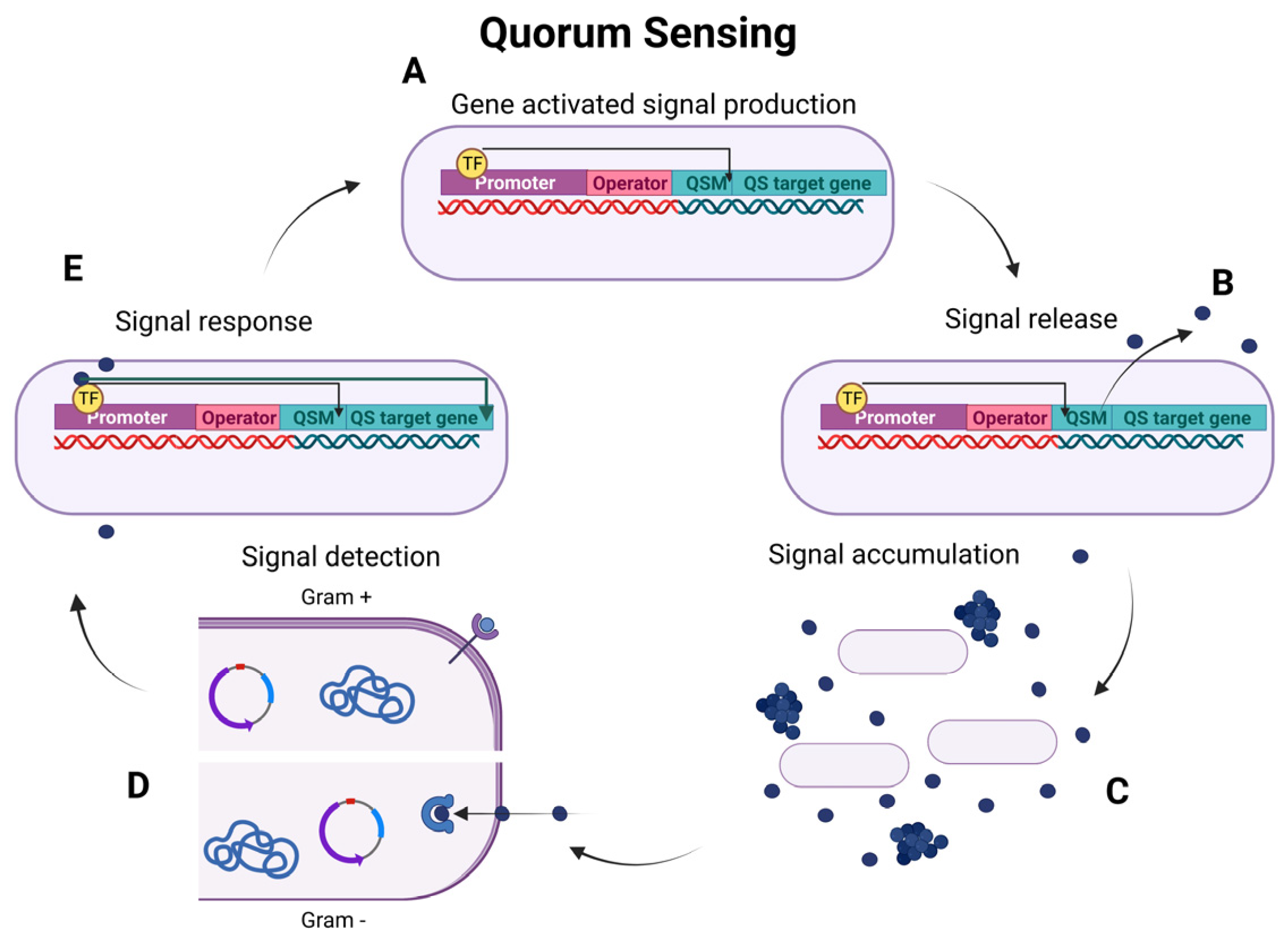 Microorganisms 11 01688 g002