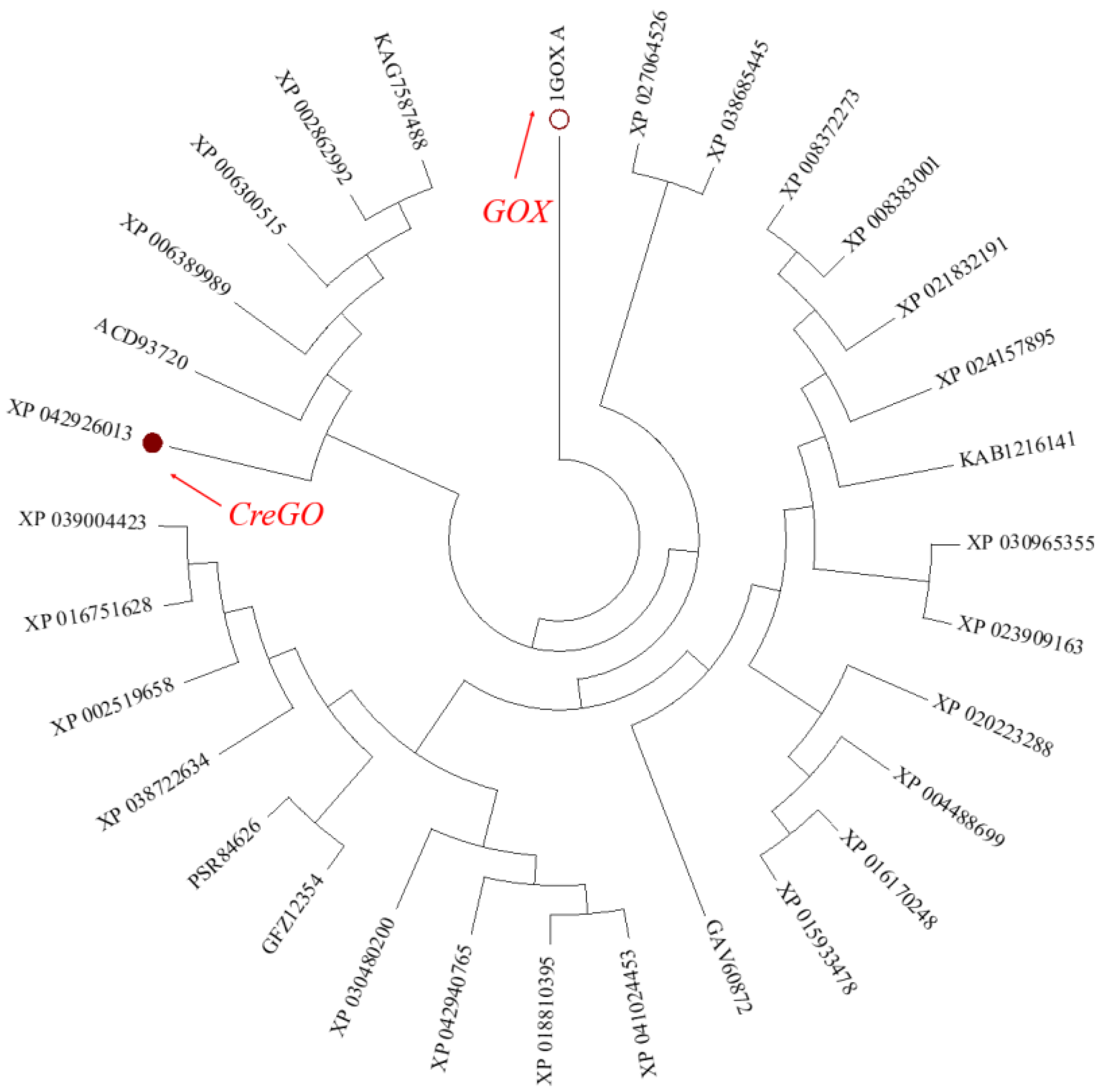 Microorganisms 11 01689 g001