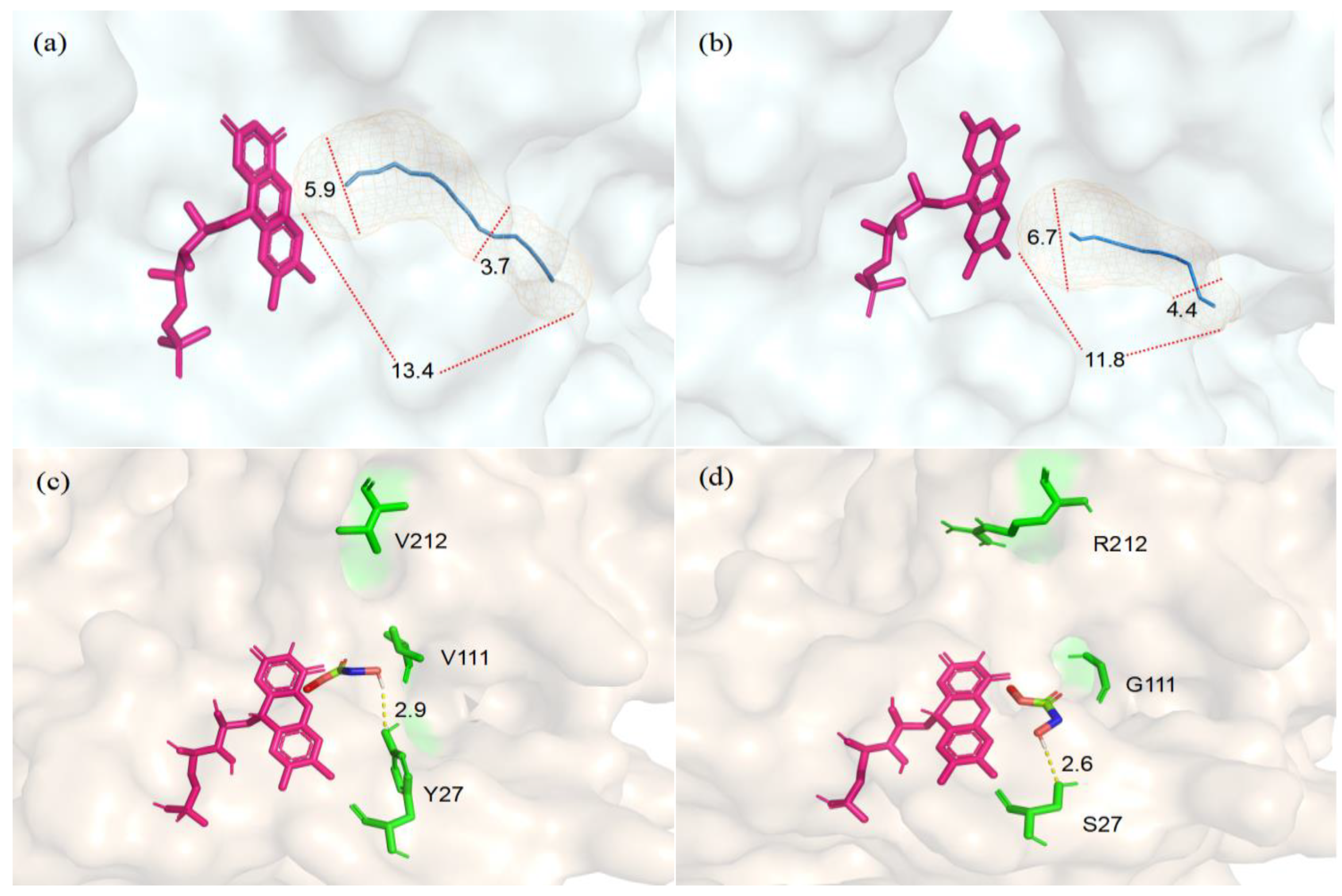 Microorganisms 11 01689 g007
