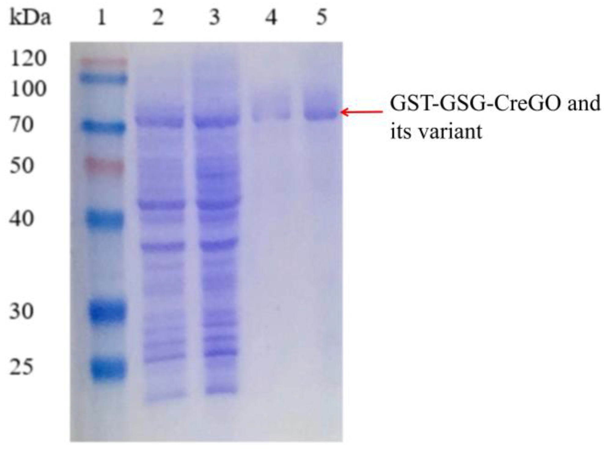 Microorganisms 11 01689 g008