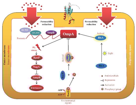 Microorganisms 11 01690 g001