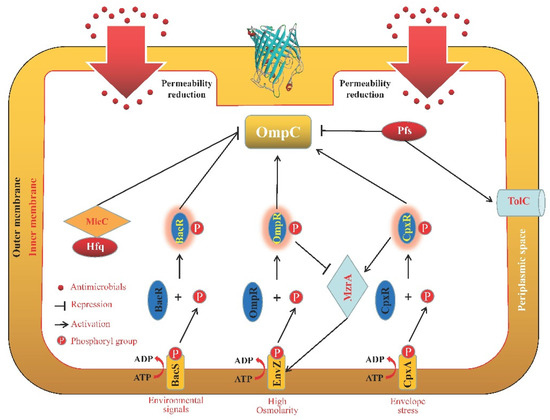 Microorganisms 11 01690 g002