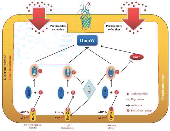 Microorganisms 11 01690 g004