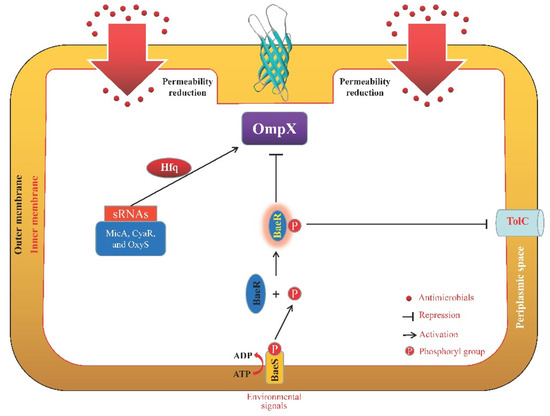 Microorganisms 11 01690 g005