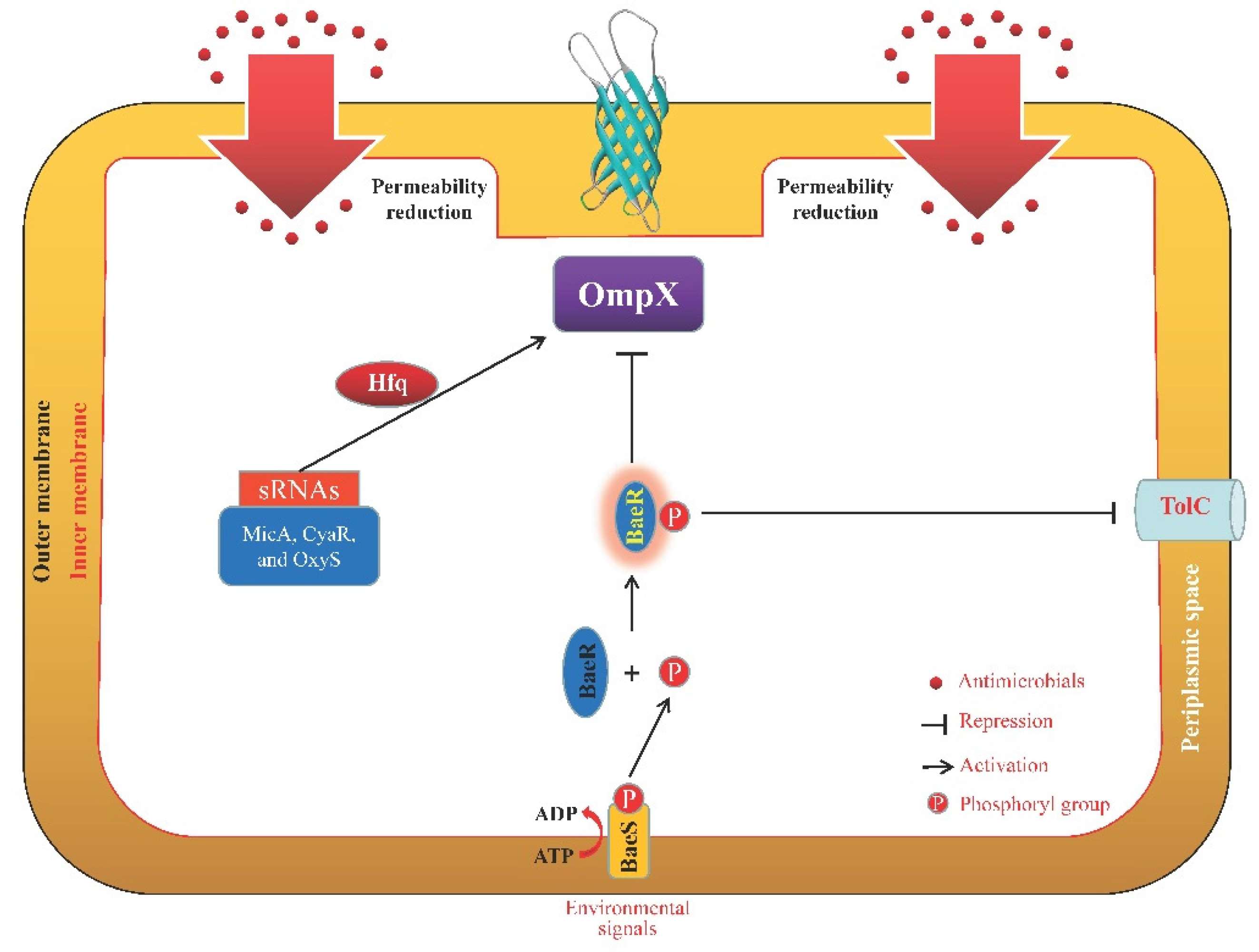 Microorganisms 11 01690 g005