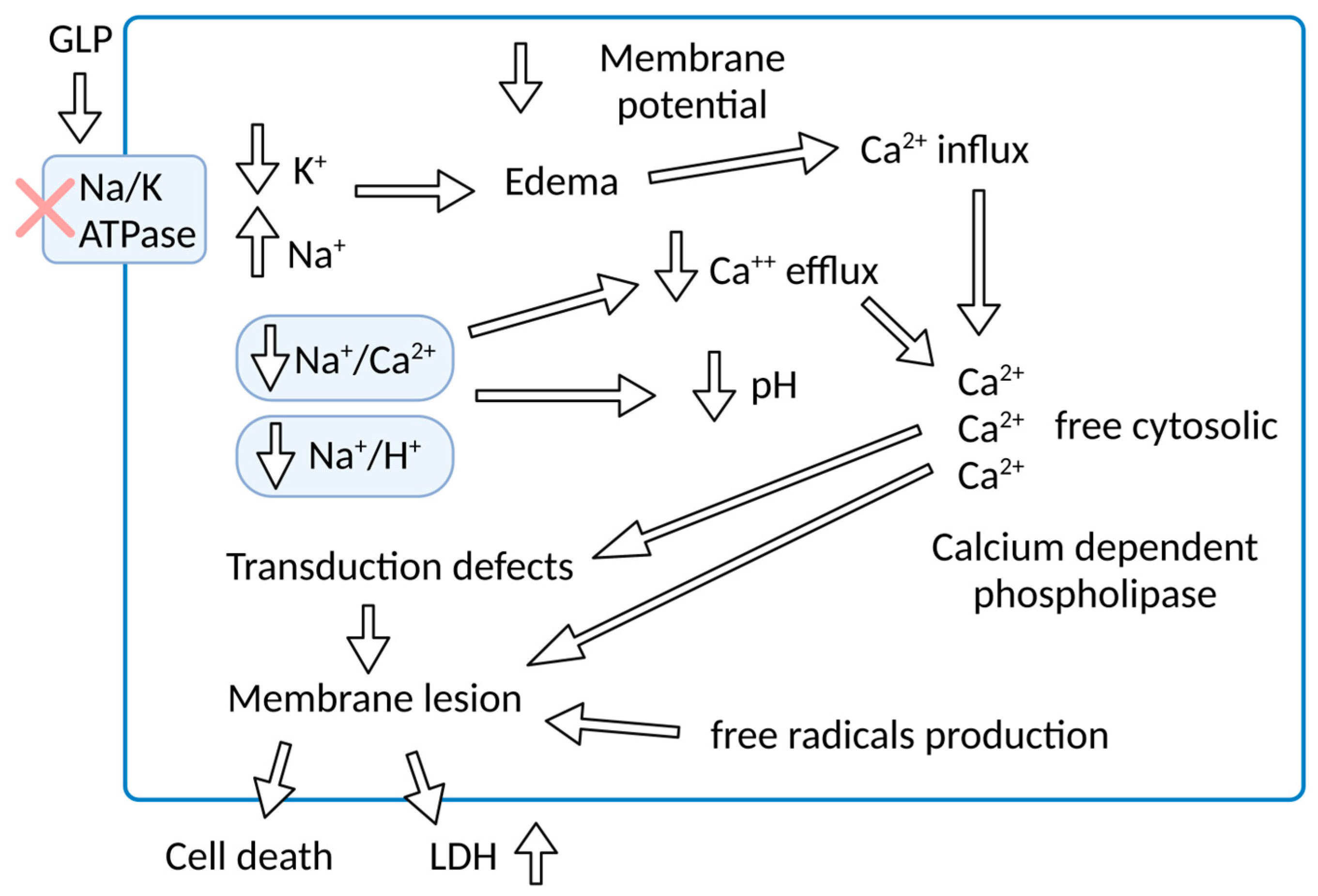Microorganisms 11 01695 g001