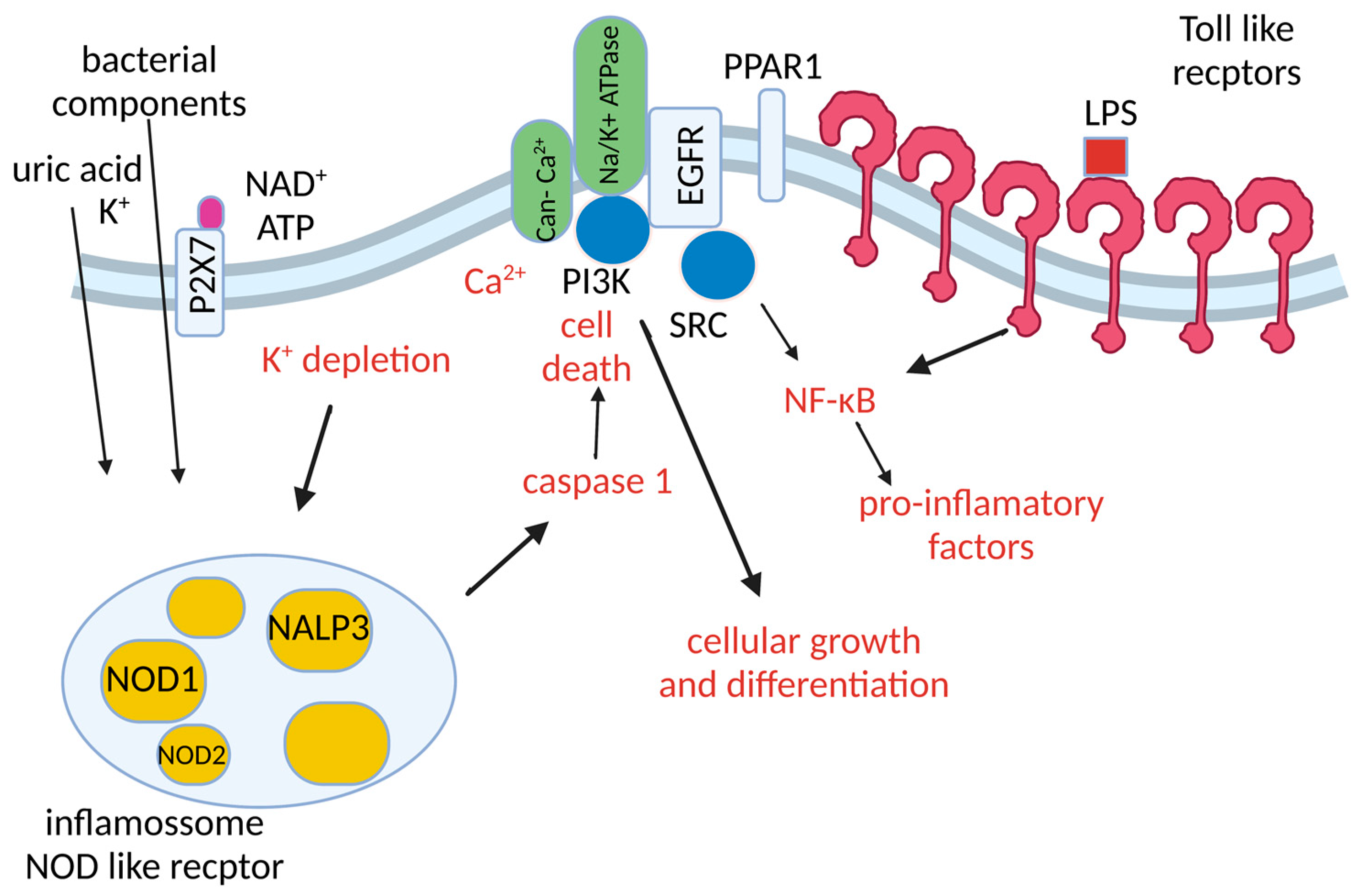 Microorganisms 11 01695 g002