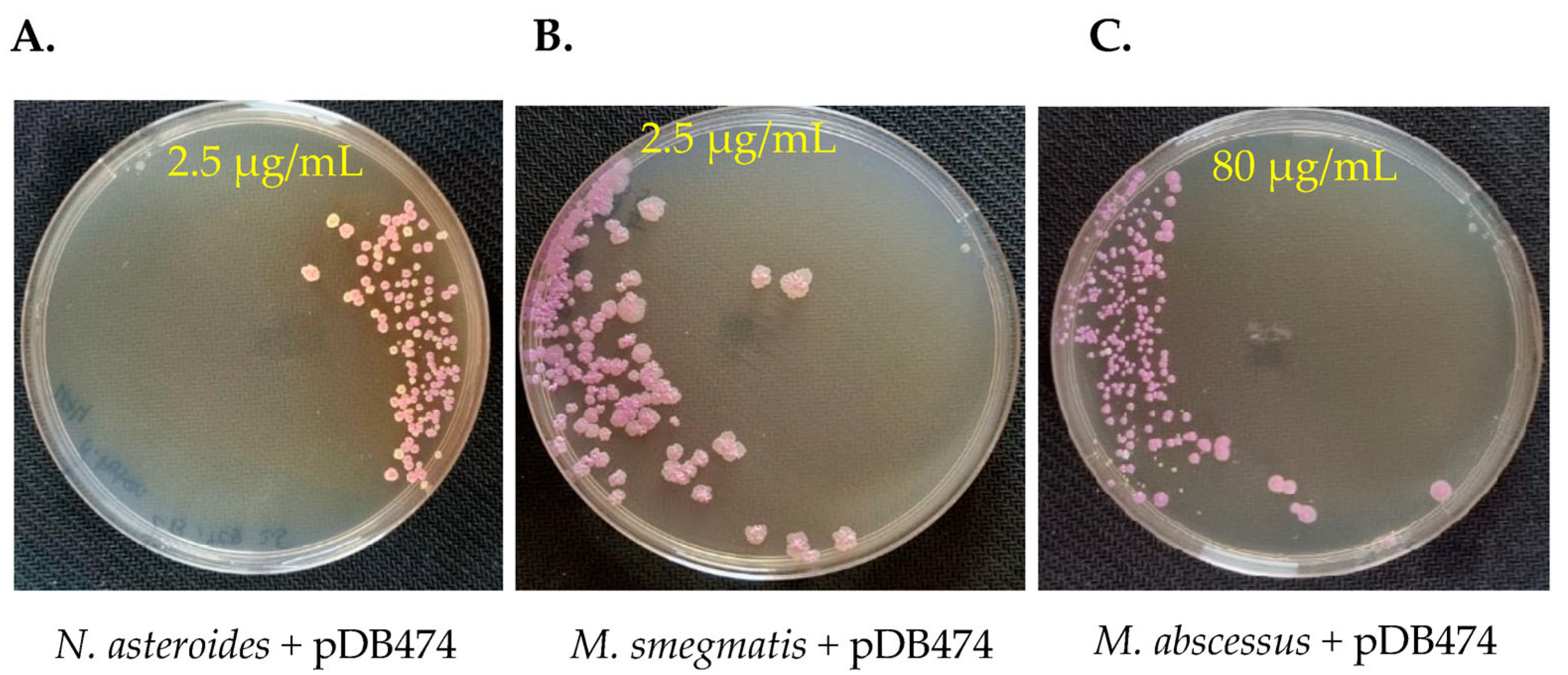 Microorganisms 11 01697 g003 Microorganisms 11 01697 g003