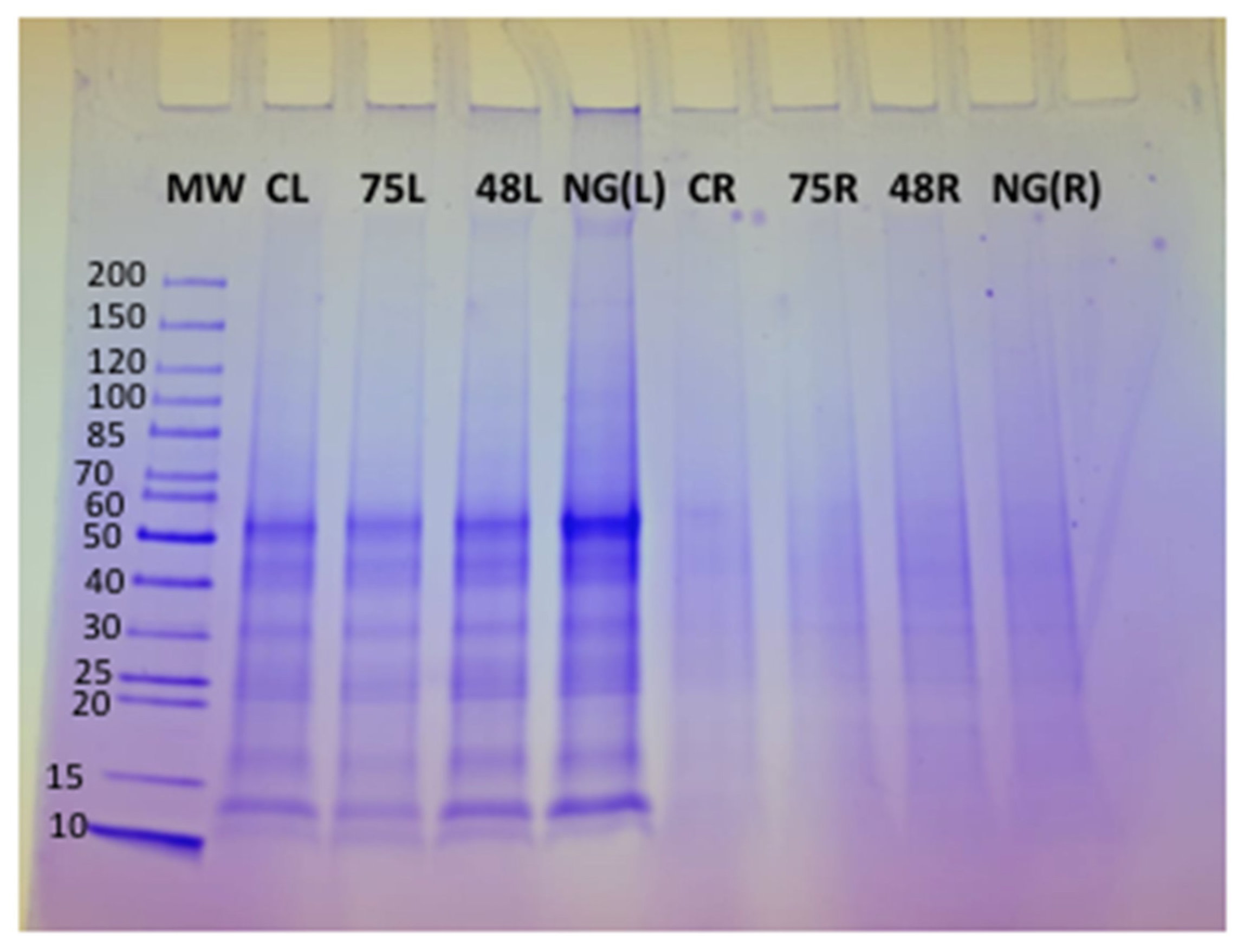 Microorganisms 11 01700 g004