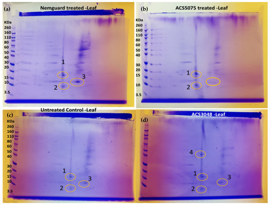 Microorganisms 11 01700 g005