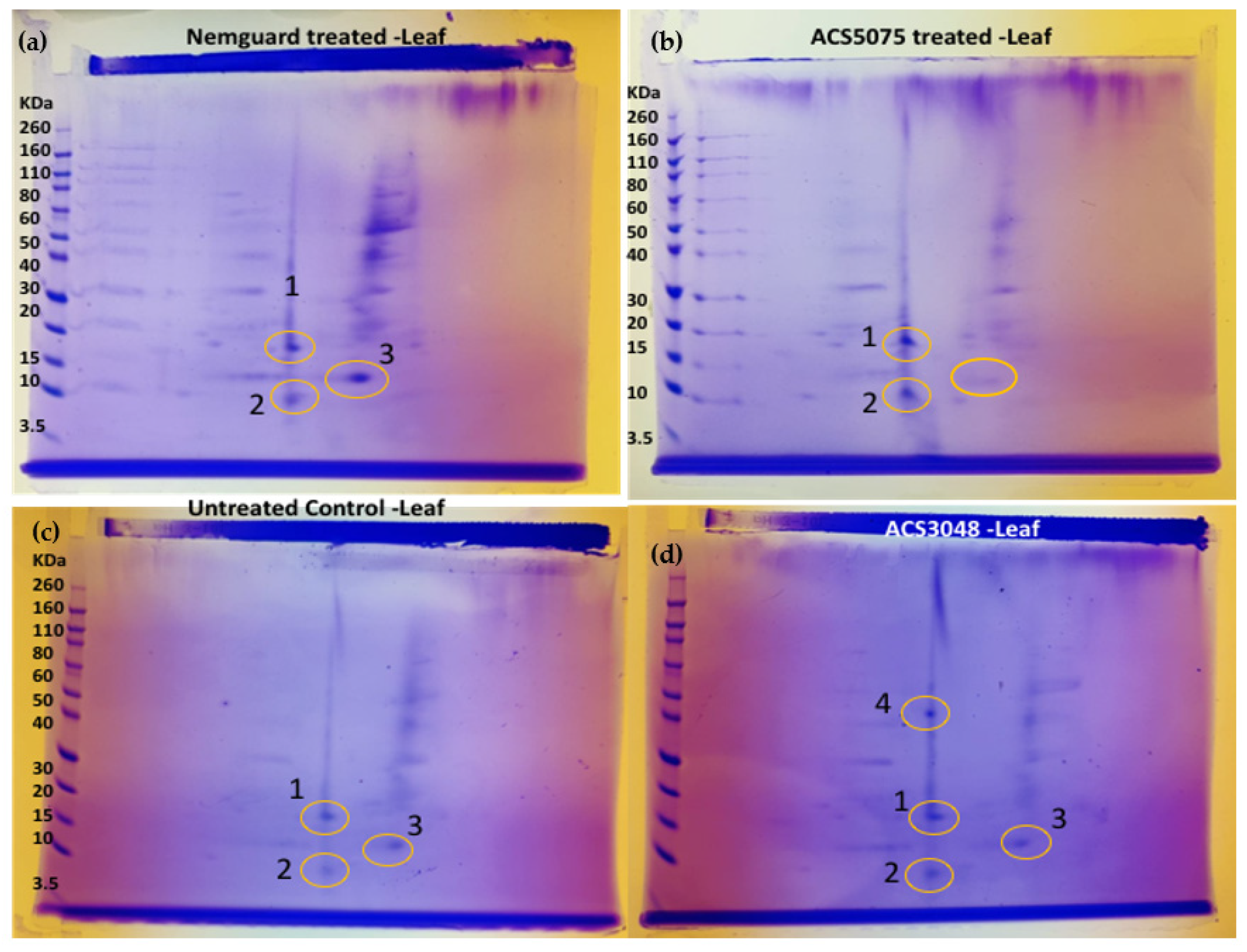 Microorganisms 11 01700 g005
