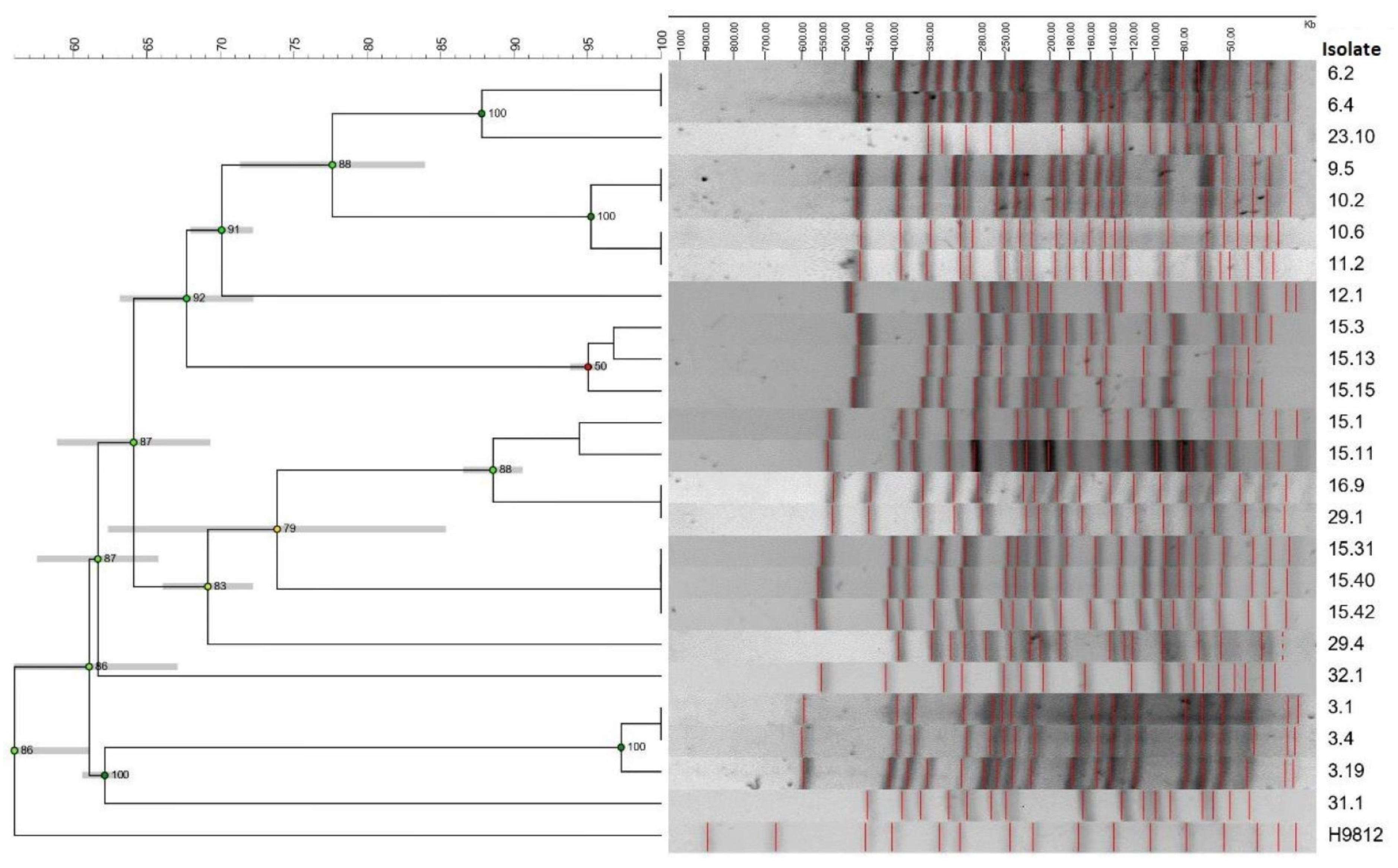 Microorganisms 11 01704 g003 Microorganisms 11 01704 g003