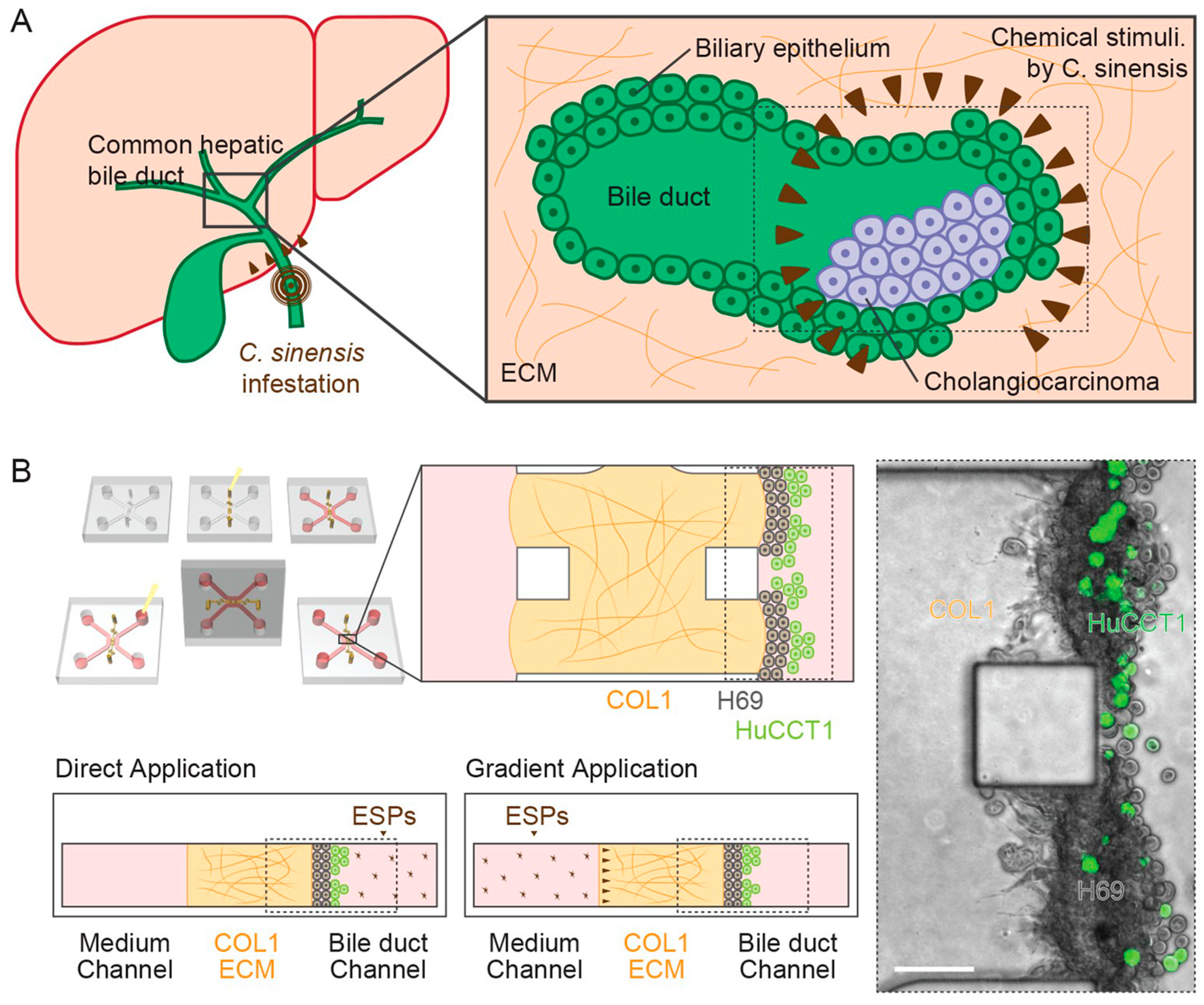 Microorganisms 11 01708 g002