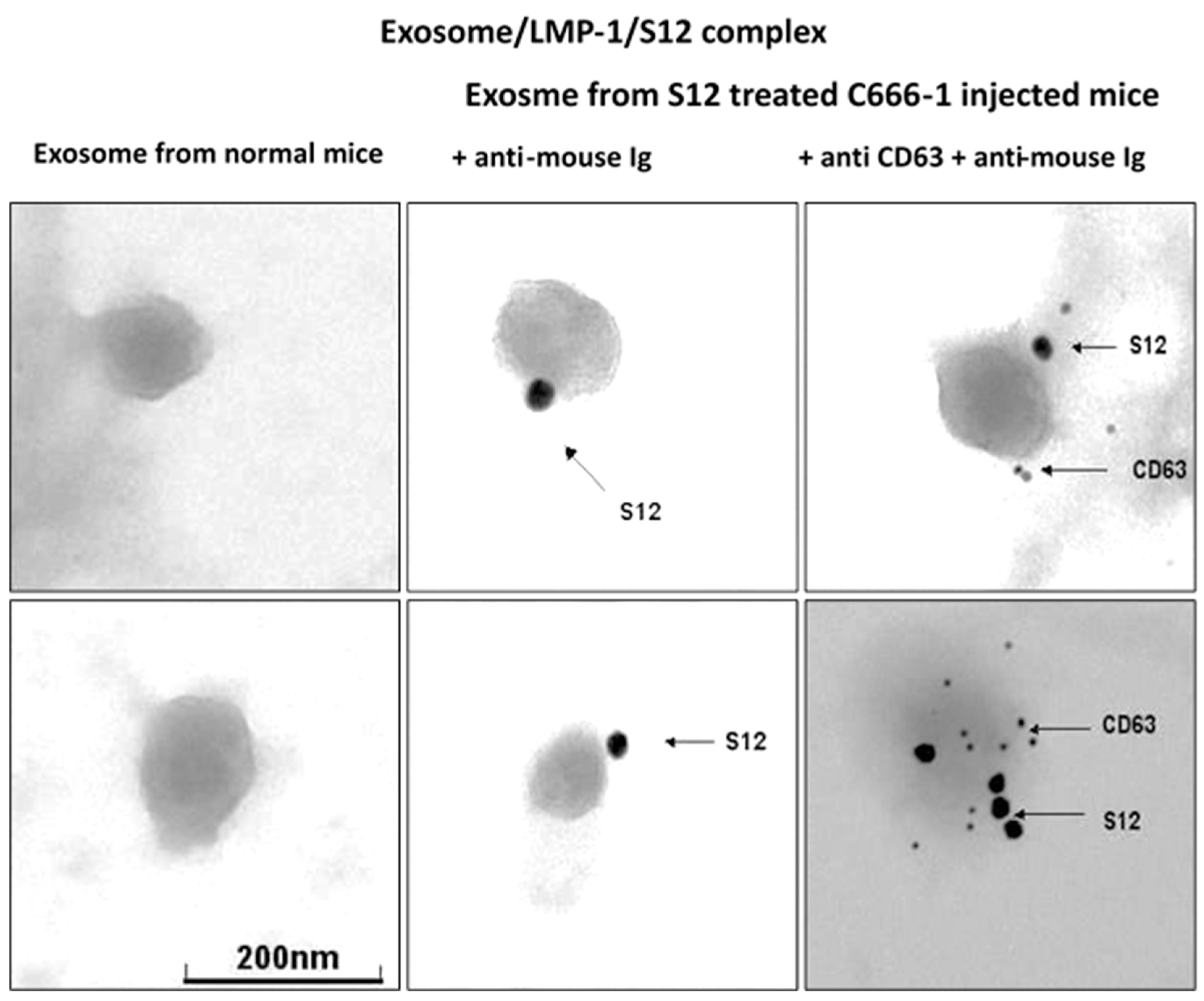 Microorganisms 11 01712 g005