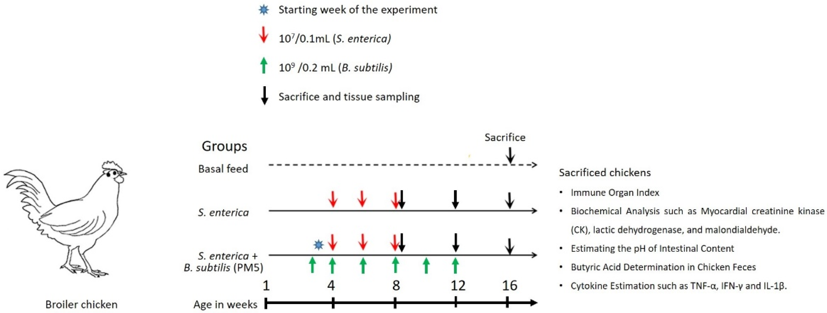 Microorganisms 11 01719 g001