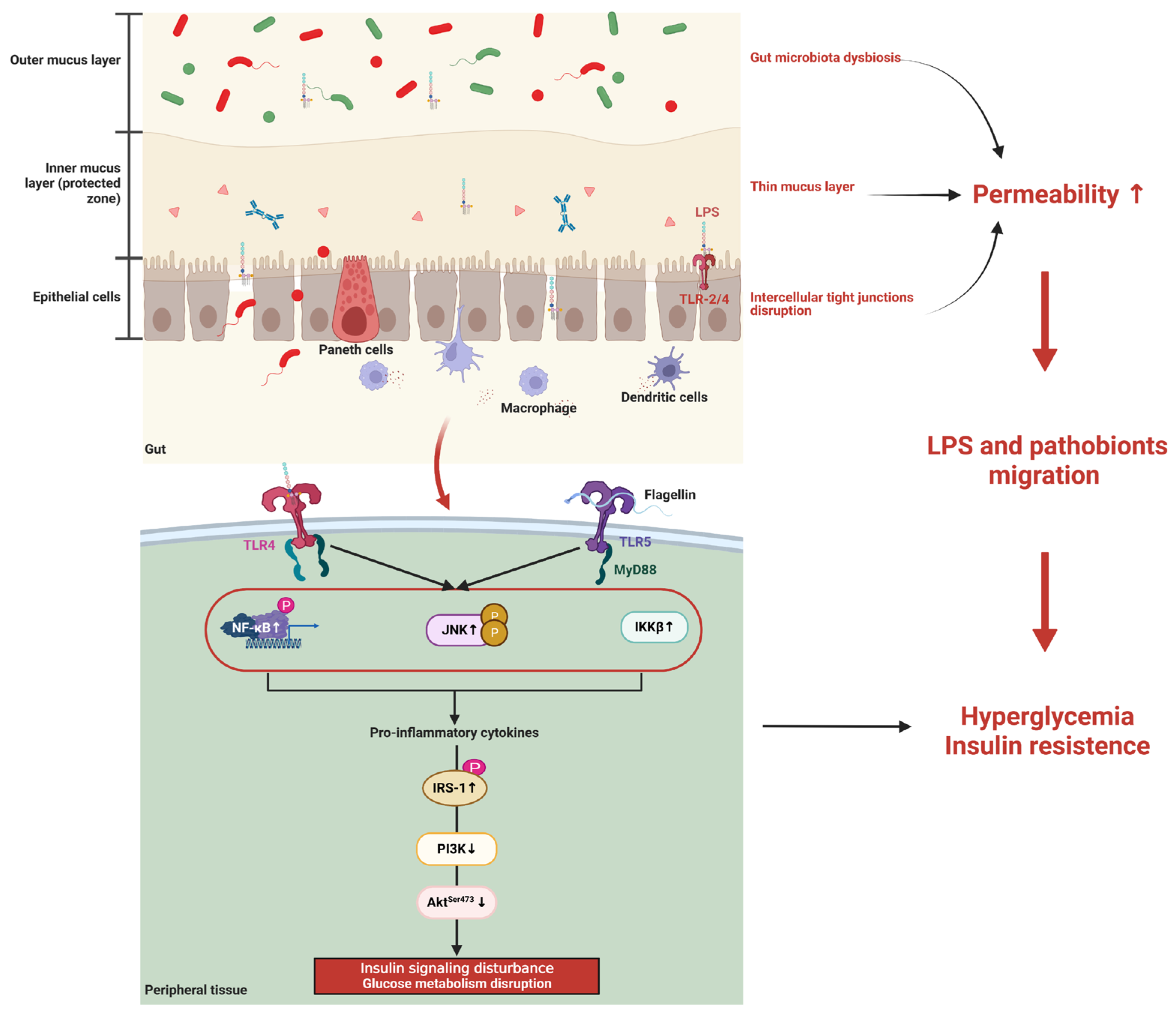 Microorganisms 11 01725 g001