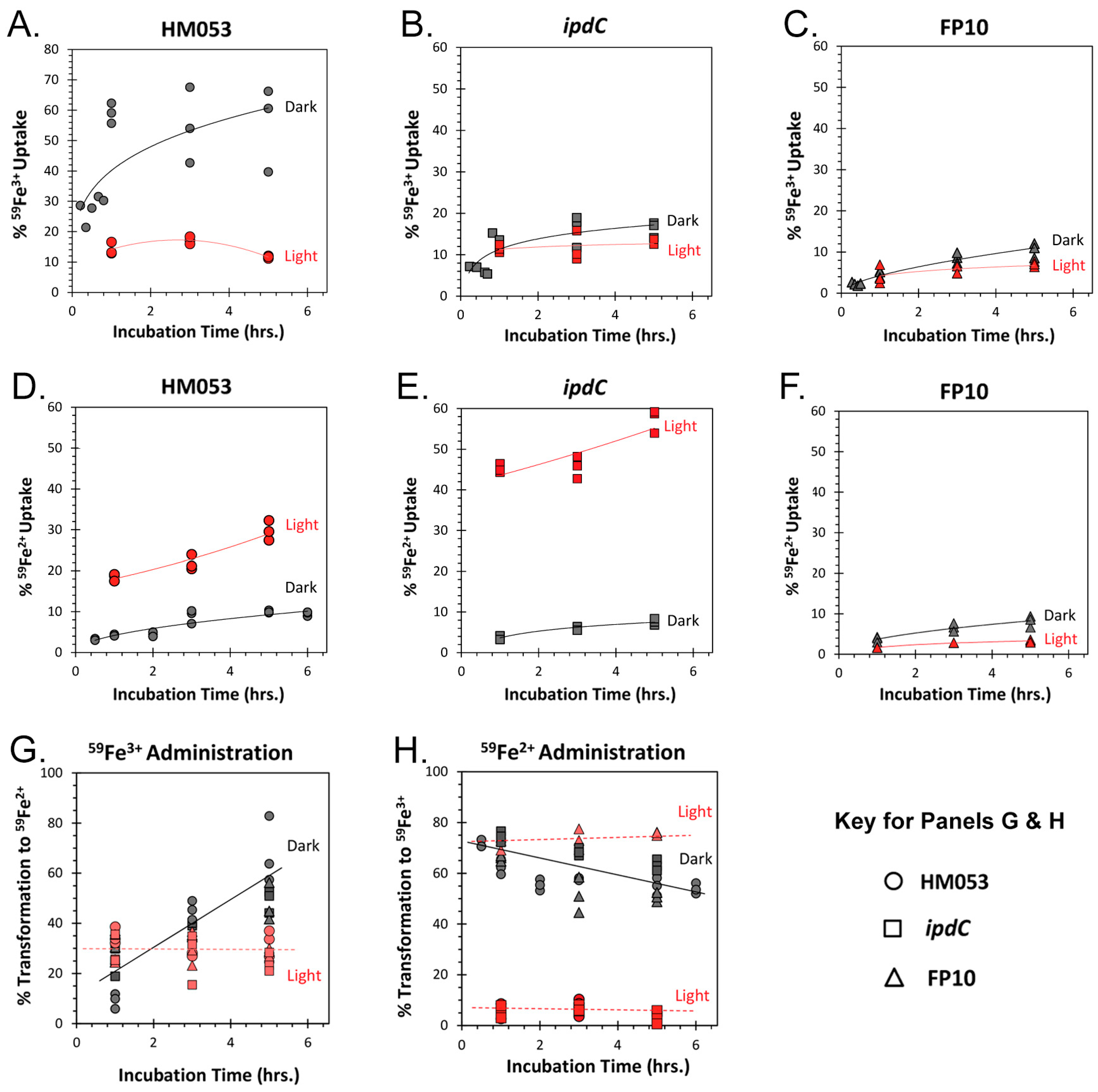 Microorganisms 11 01727 g003 Microorganisms 11 01727 g003