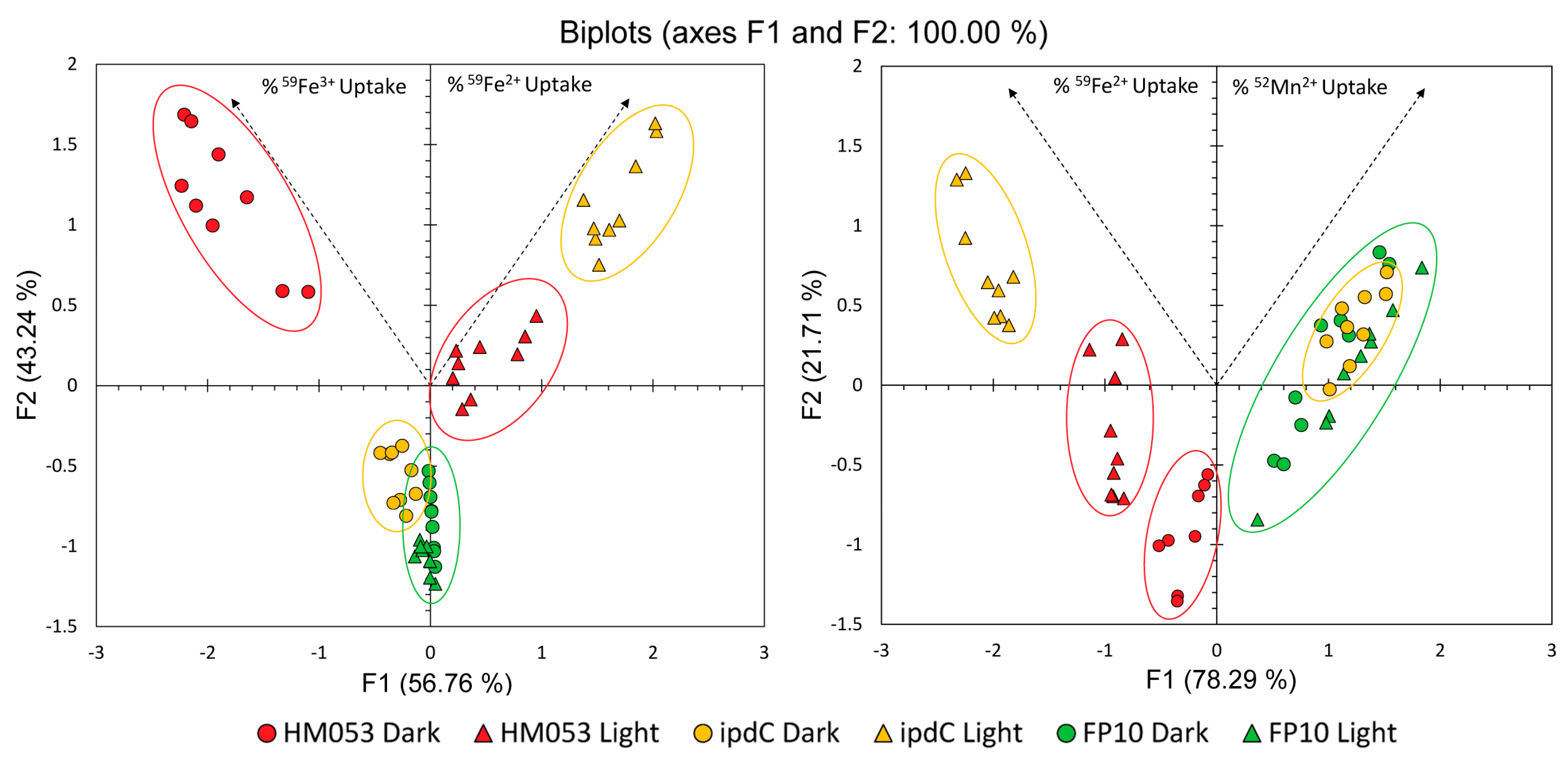 Microorganisms 11 01727 g007 Microorganisms 11 01727 g007