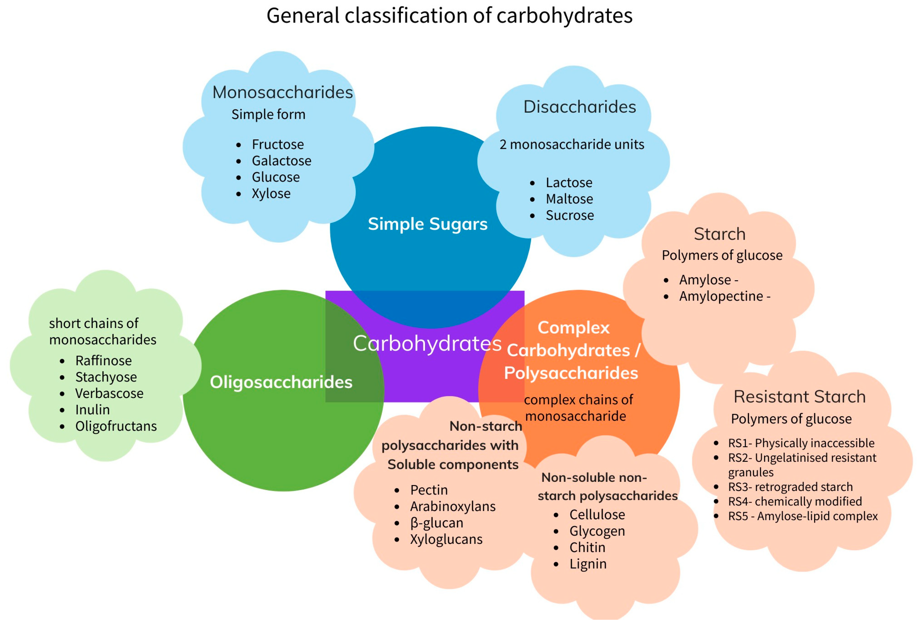 Microorganisms 11 01728 g001