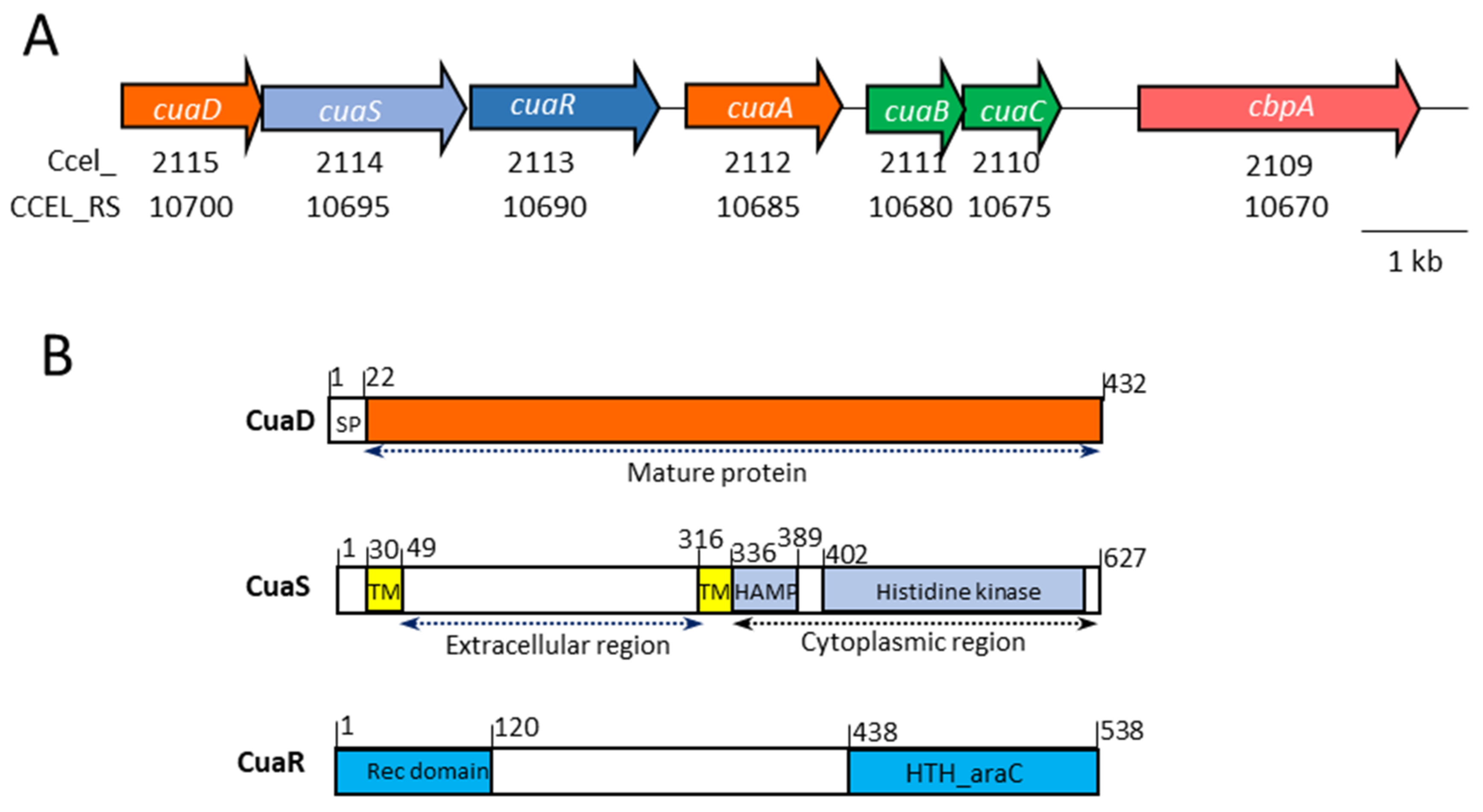 Microorganisms 11 01732 g001