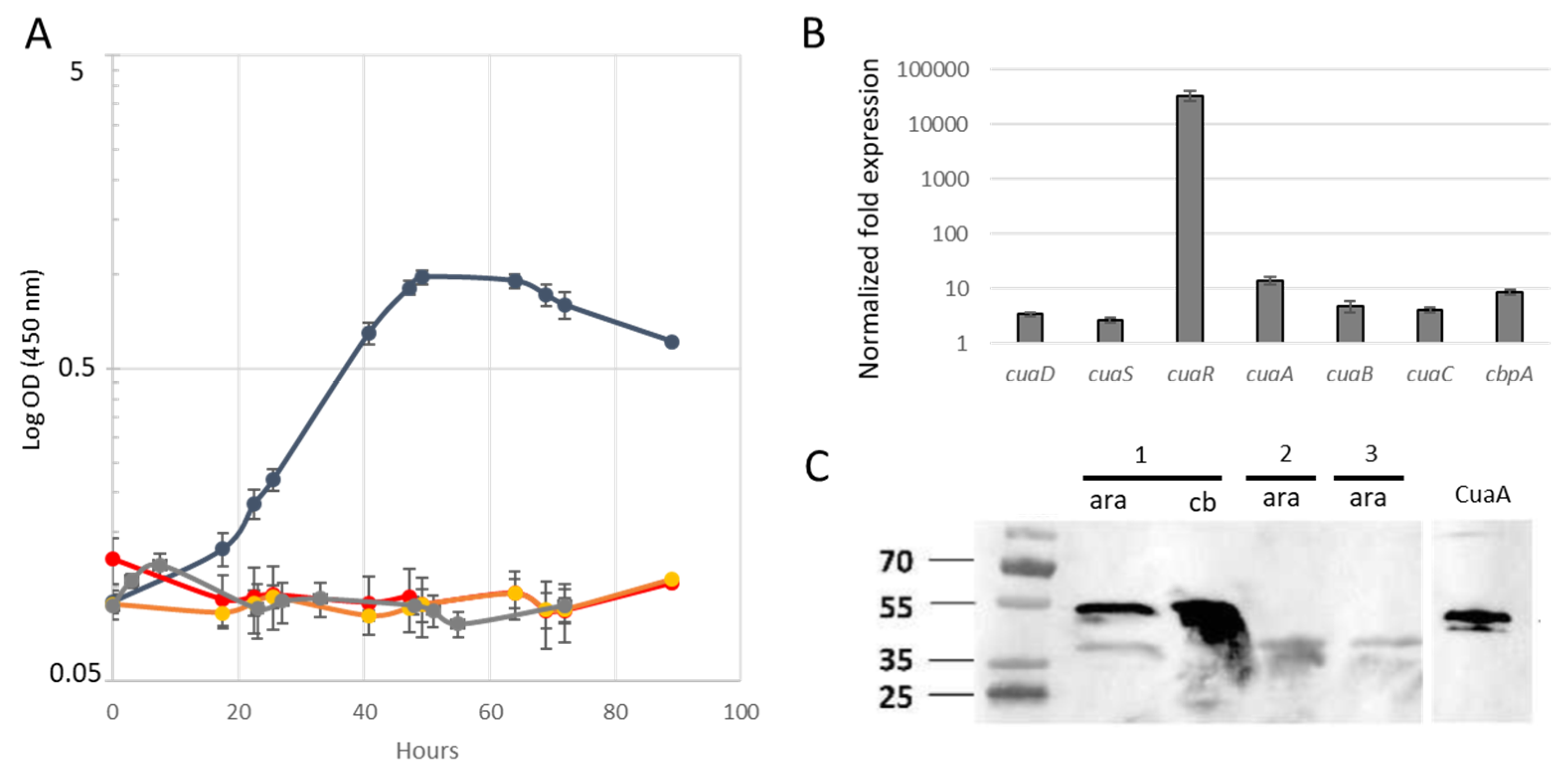 Microorganisms 11 01732 g002