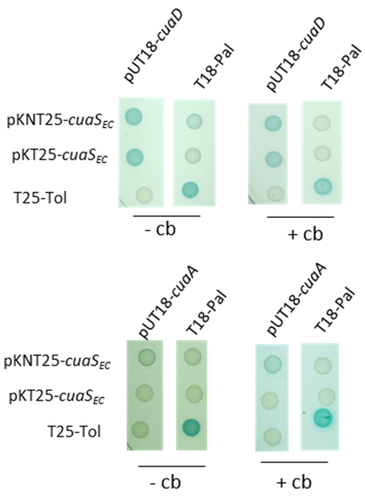Microorganisms 11 01732 g006