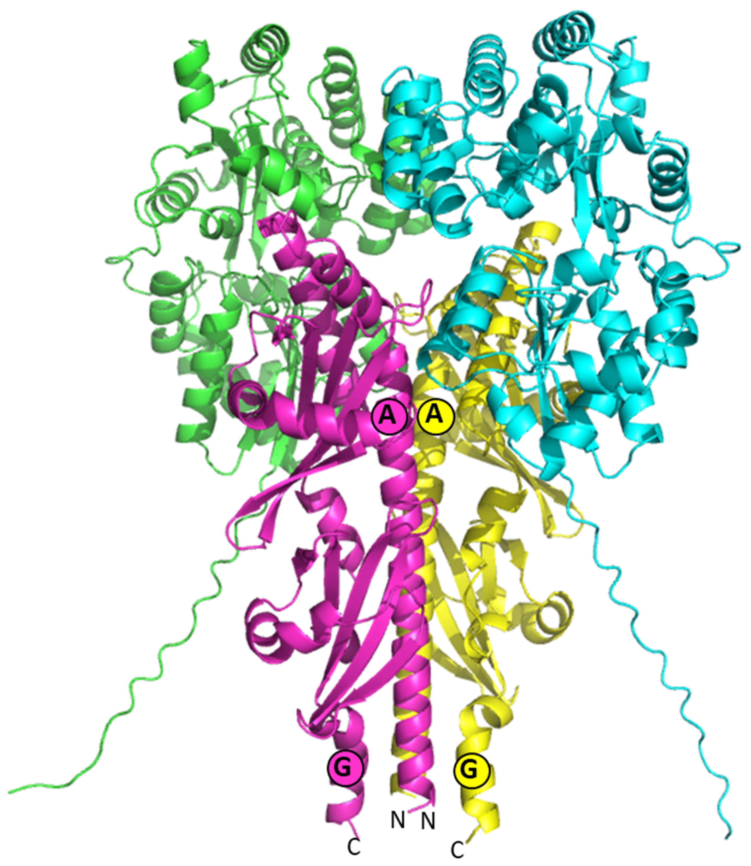 Microorganisms 11 01732 g007