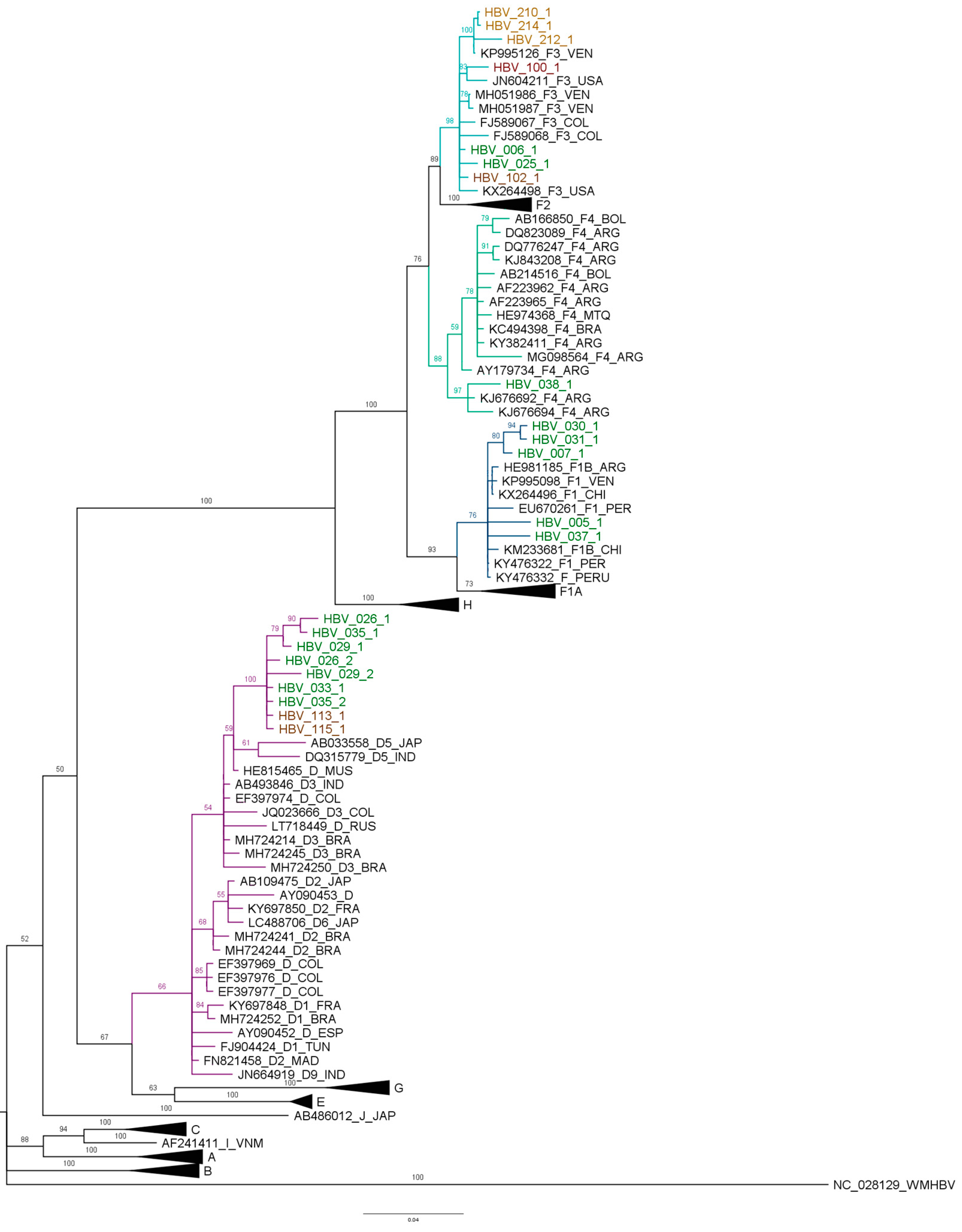 Microorganisms 11 01739 g002