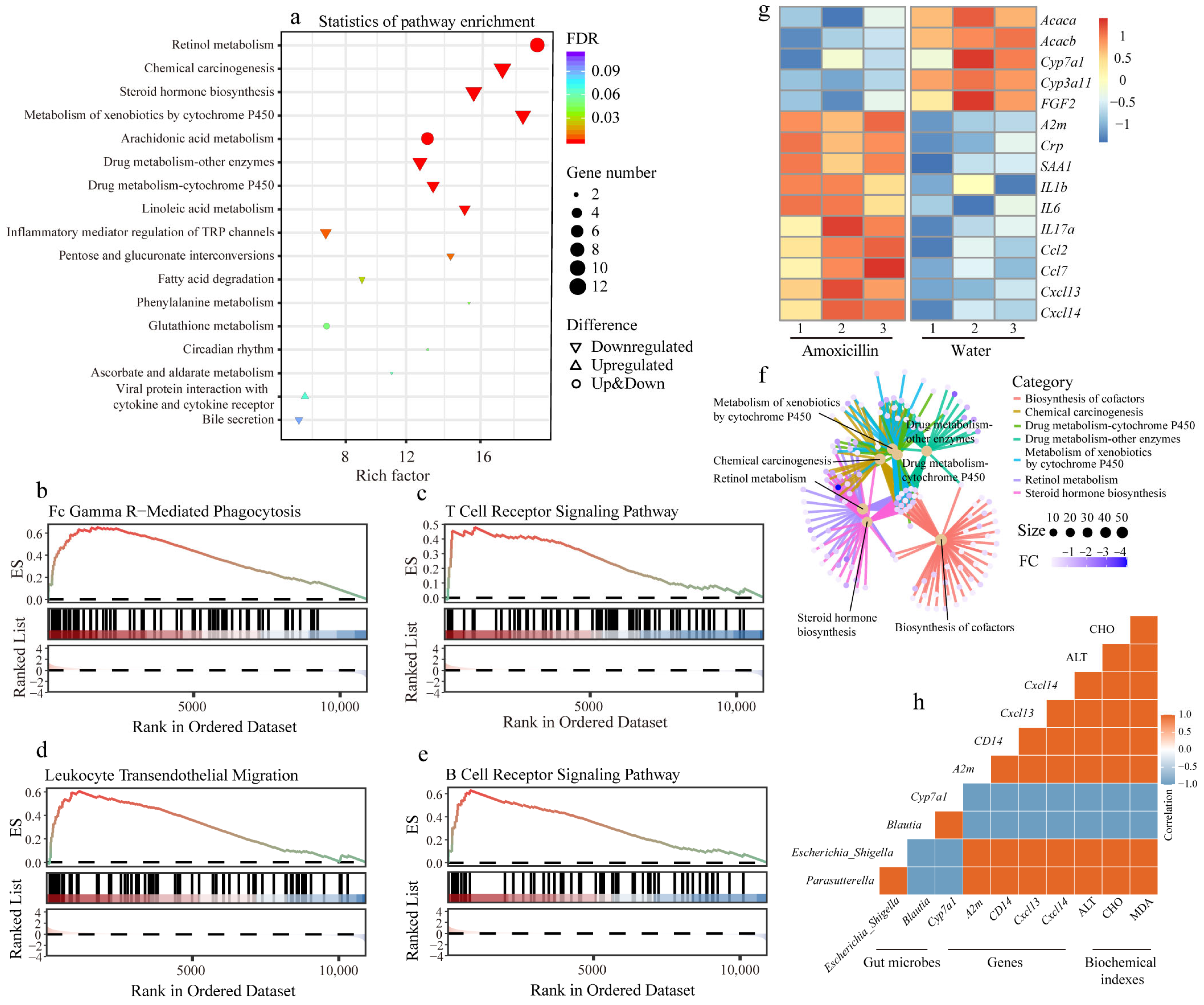 Microorganisms 11 01741 g006