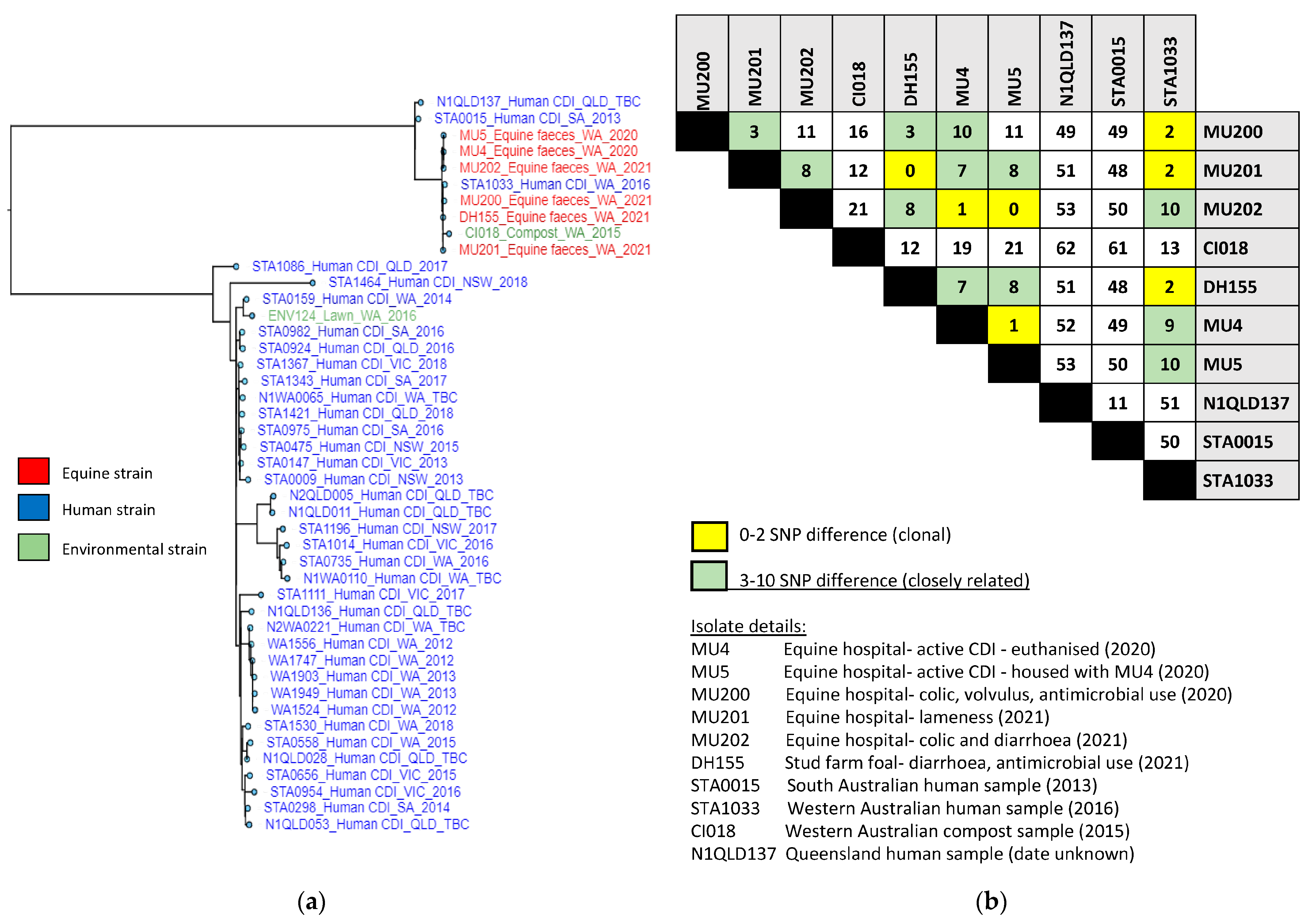 Microorganisms 11 01743 g005
