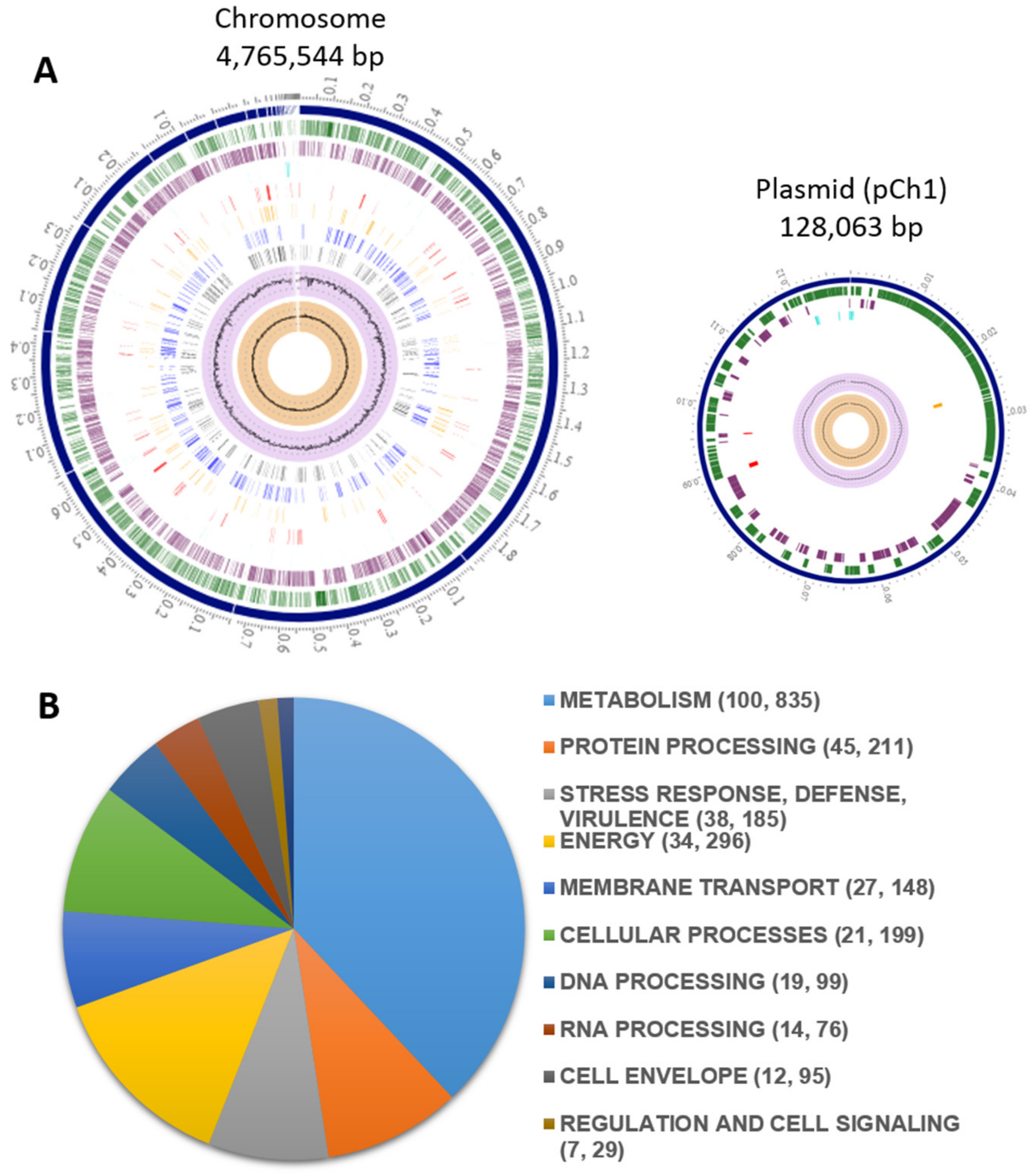 Microorganisms 11 01758 g001 Microorganisms 11 01758 g001