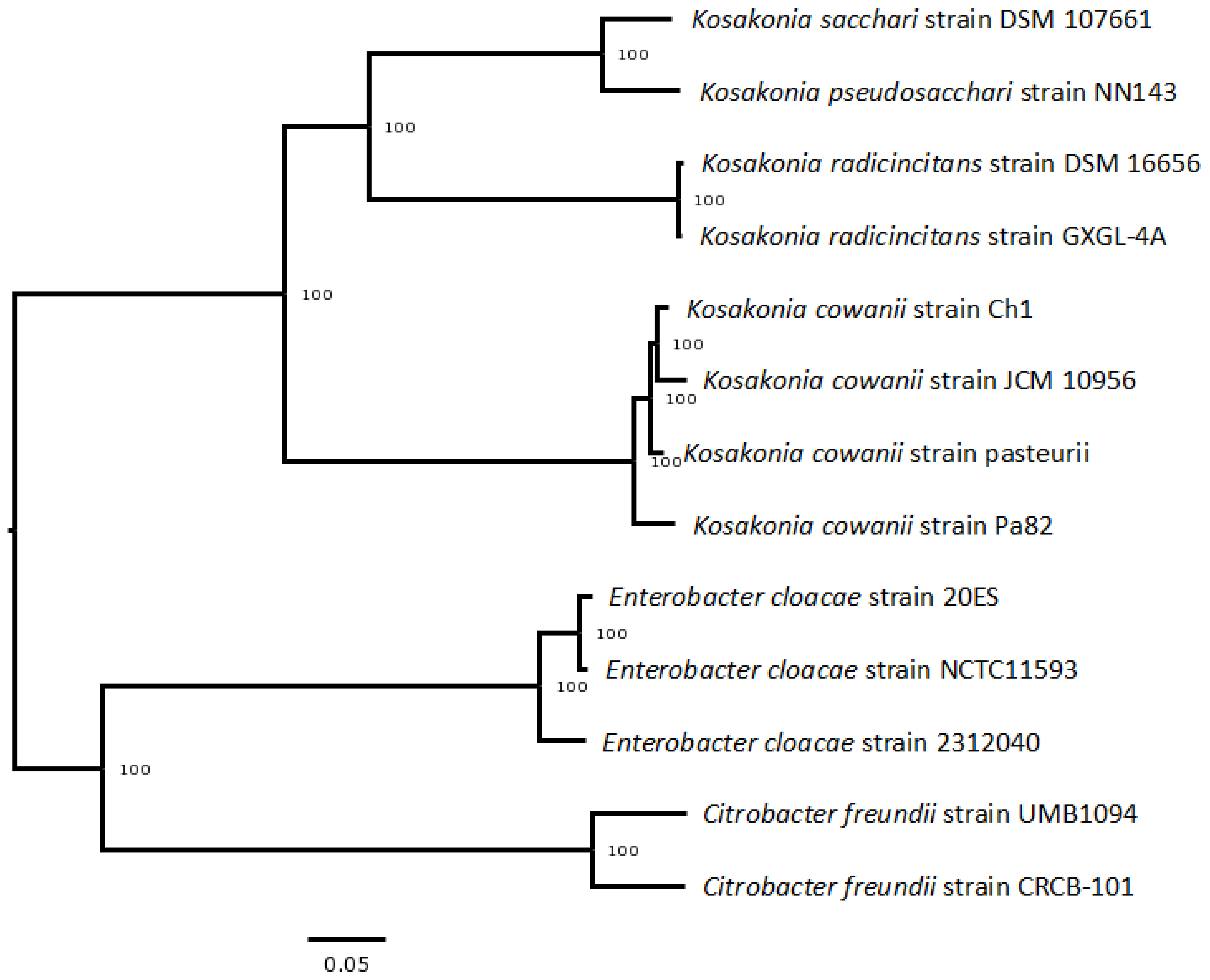 Microorganisms 11 01758 g002 Microorganisms 11 01758 g002