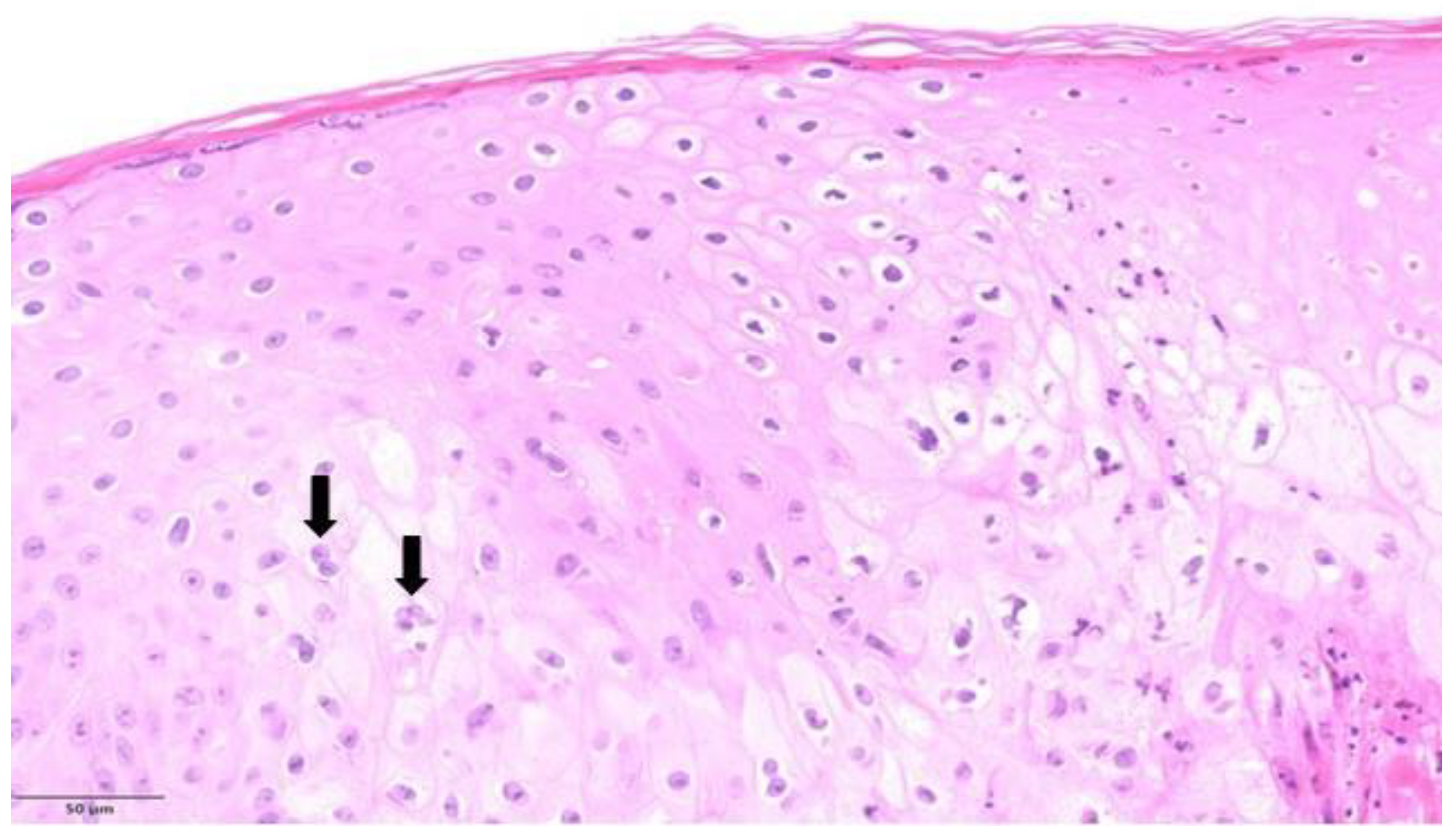 Microorganisms 11 01781 g003