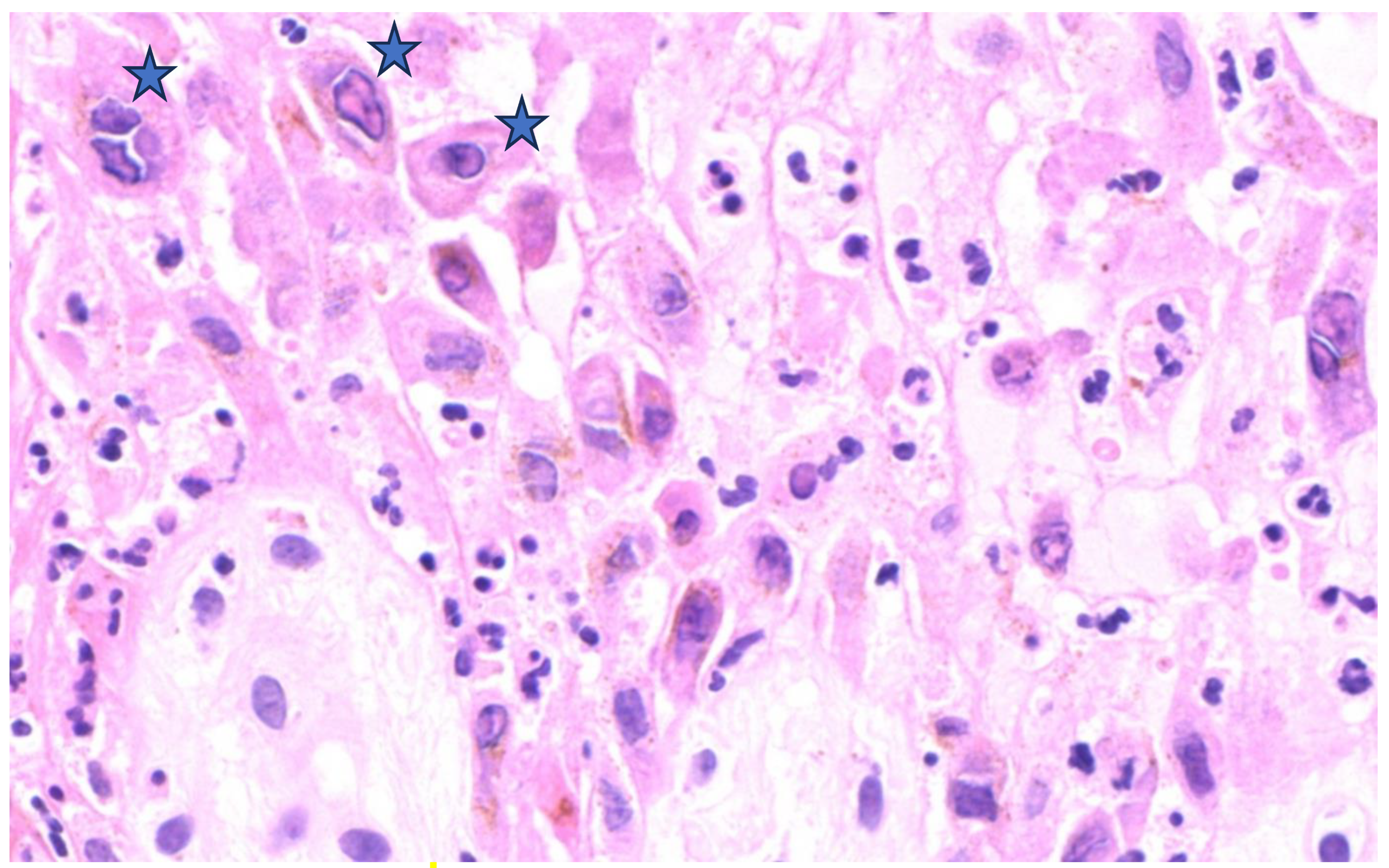 Microorganisms 11 01781 g005