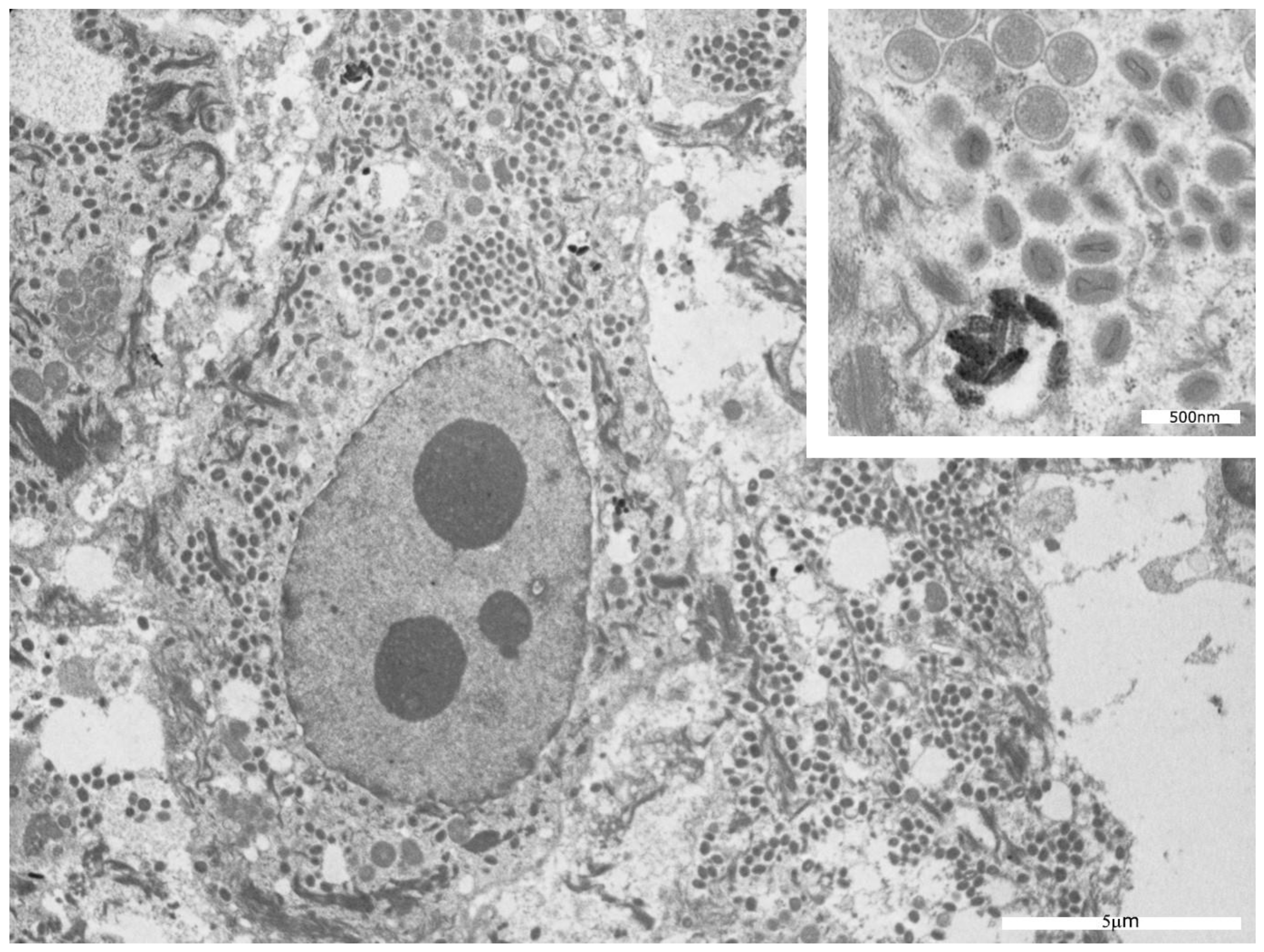 Microorganisms 11 01781 g007