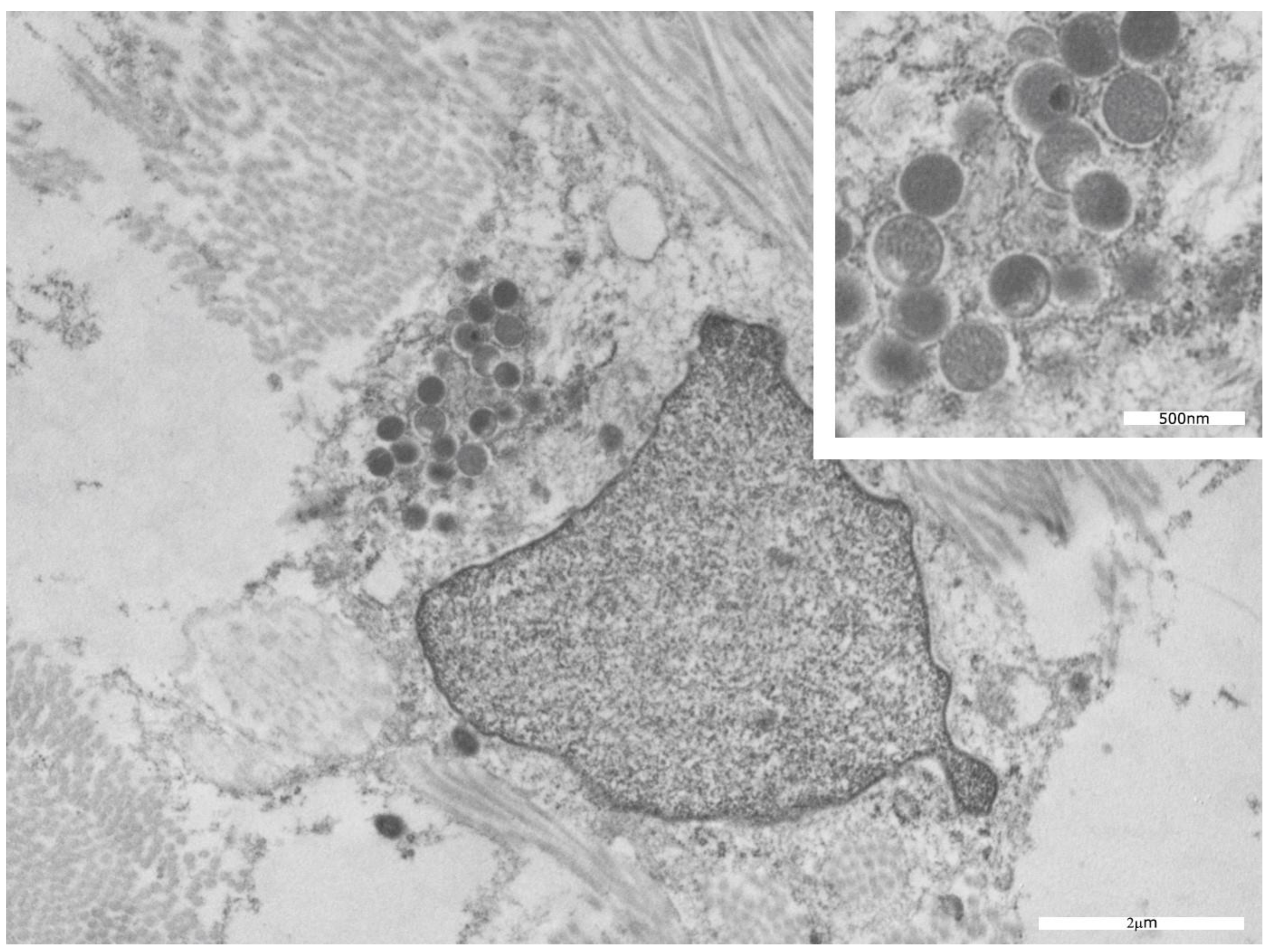Microorganisms 11 01781 g008
