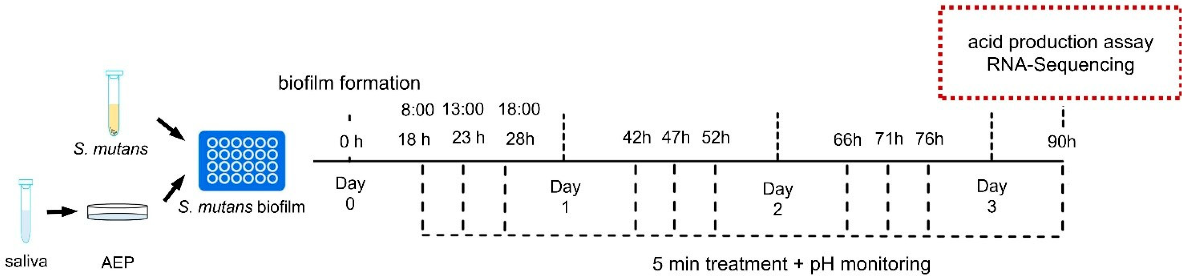 Microorganisms 11 01796 g001 Microorganisms 11 01796 g001