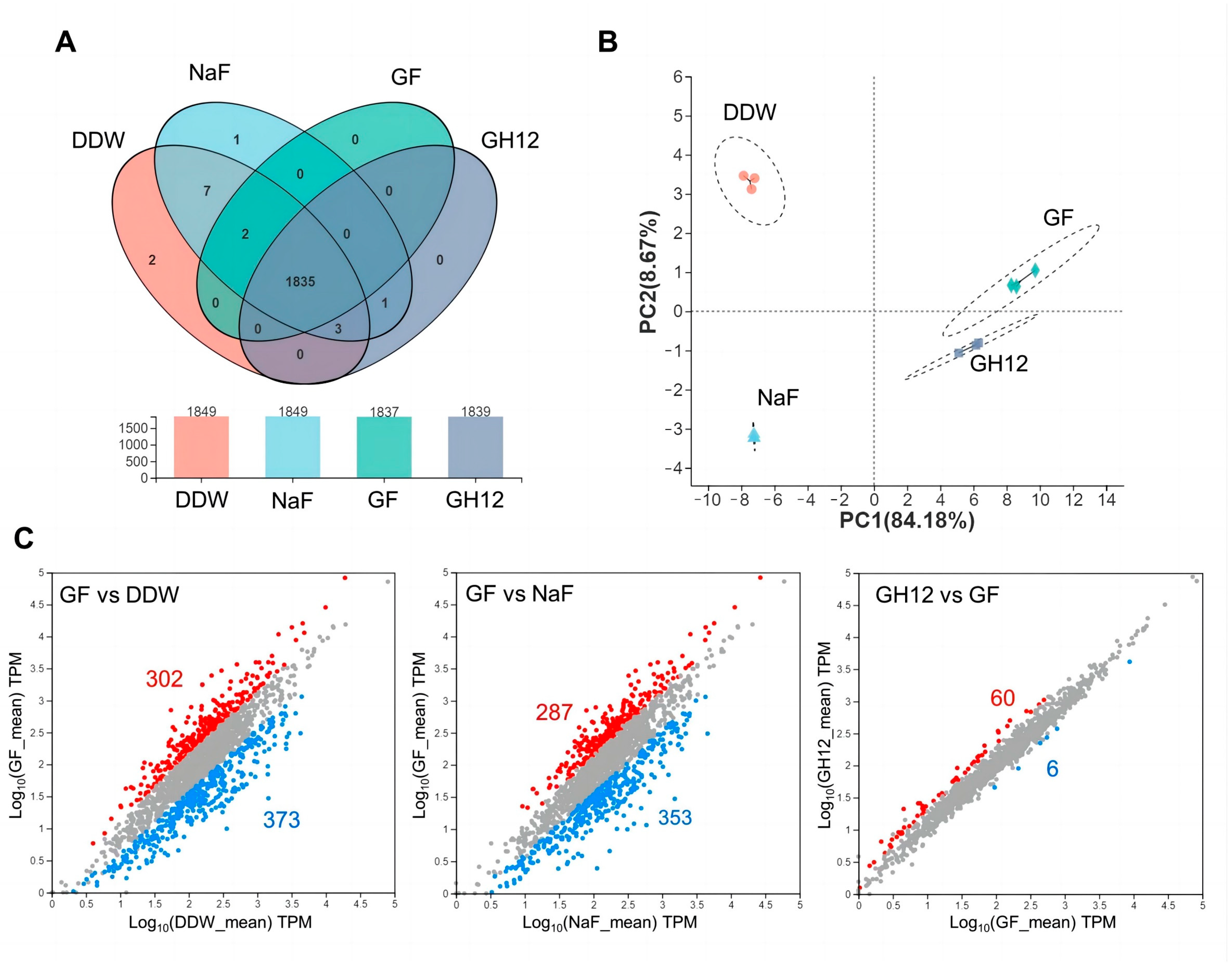 Microorganisms 11 01796 g003 Microorganisms 11 01796 g003