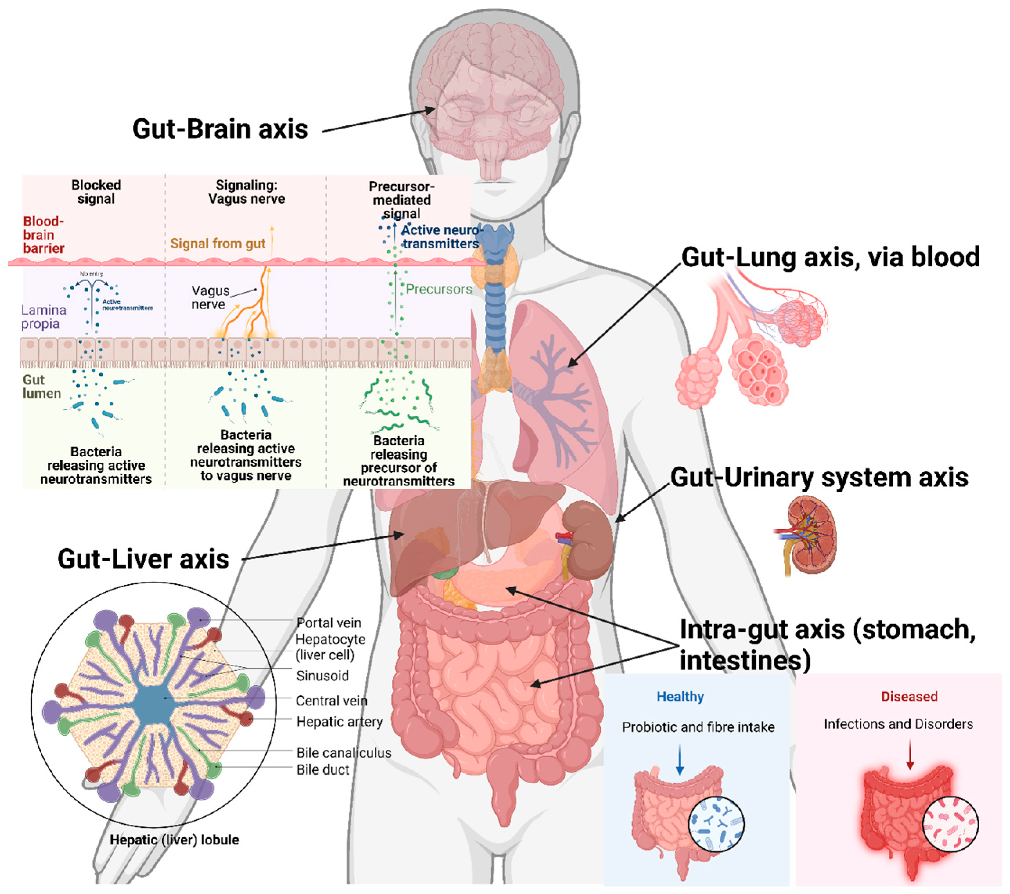 Microorganisms 11 01800 g003