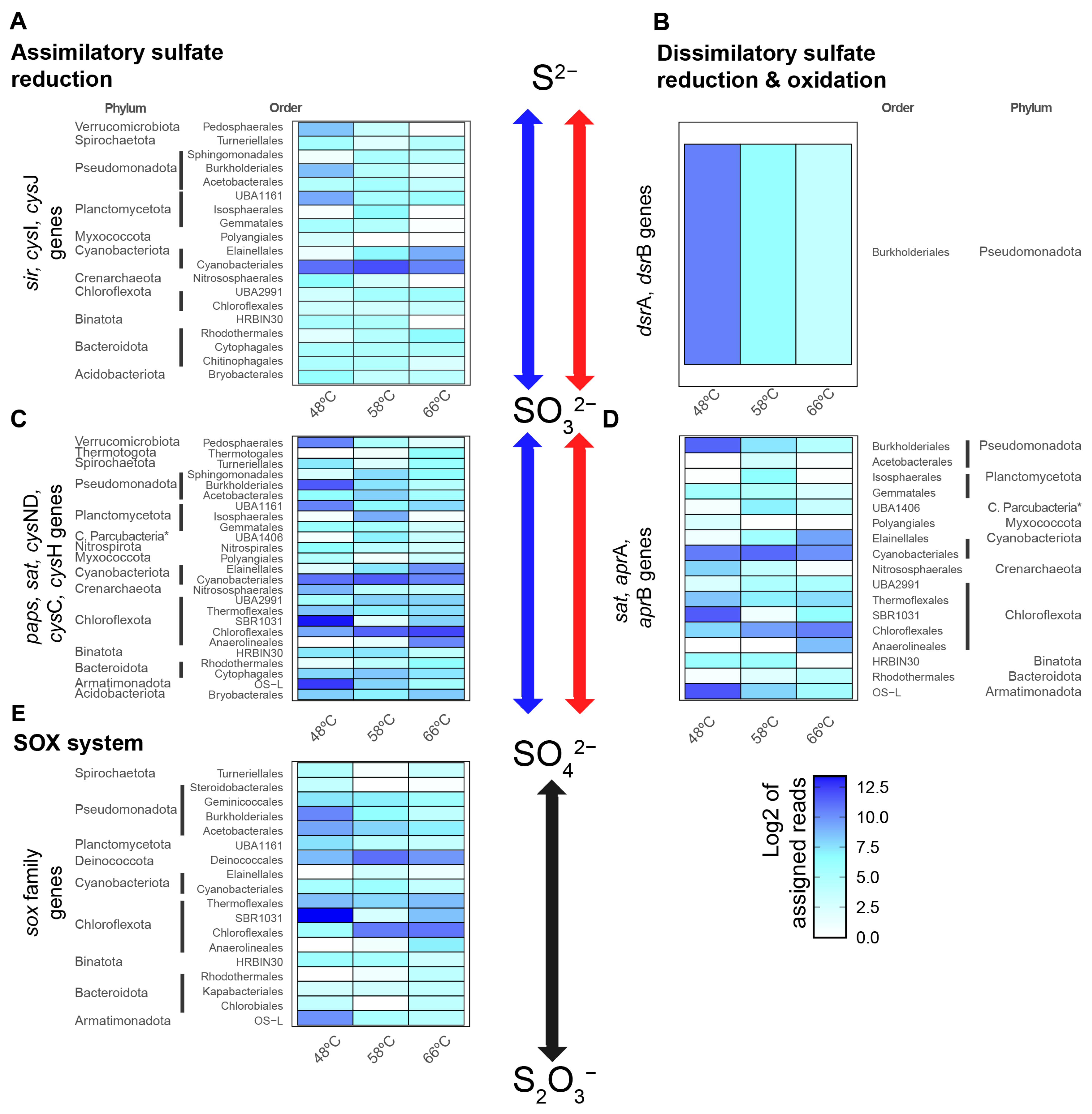 Microorganisms 11 01803 g001